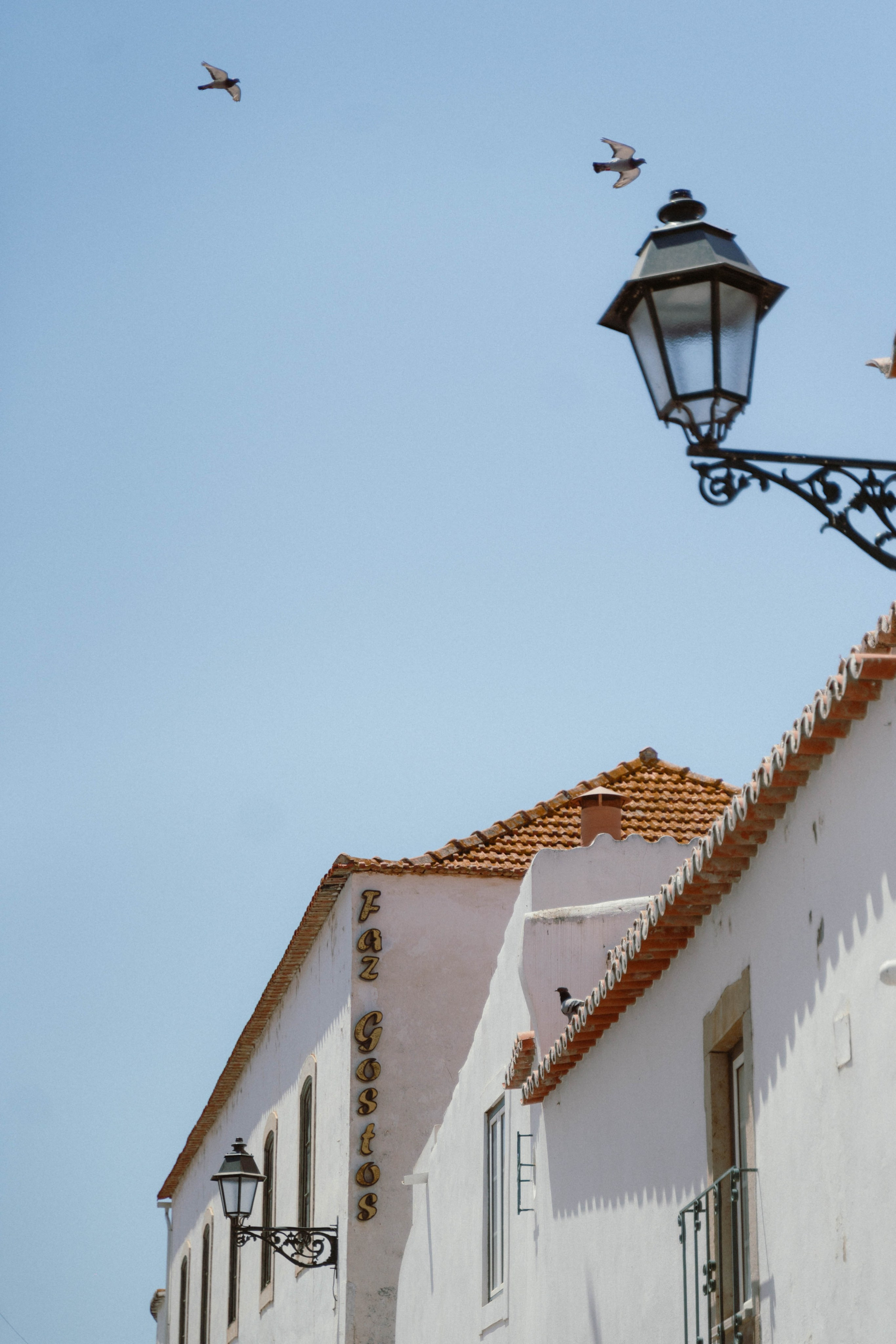 Portugal. Weeding photographer / event / portrait