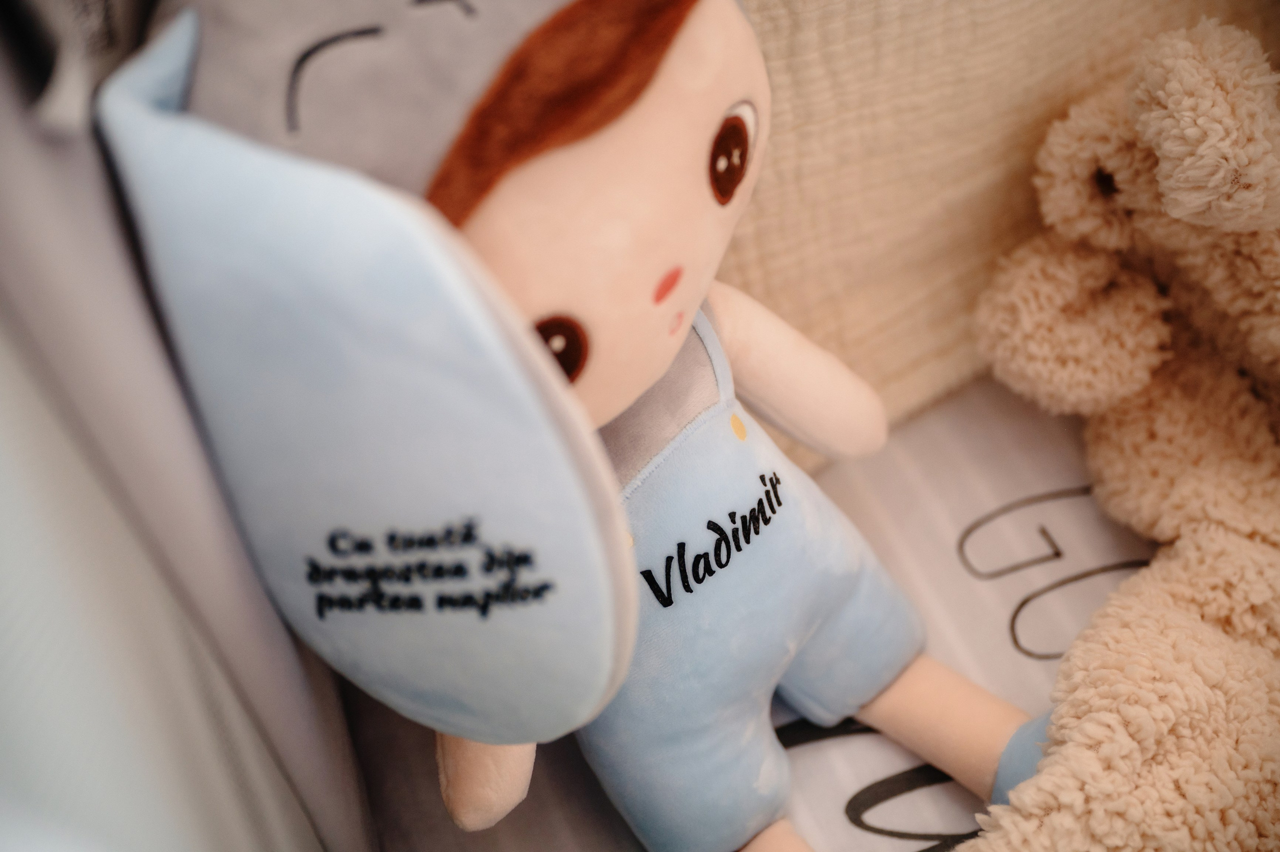 Povestea lui Vladimir. Laurentiu Stefan StoryTeller