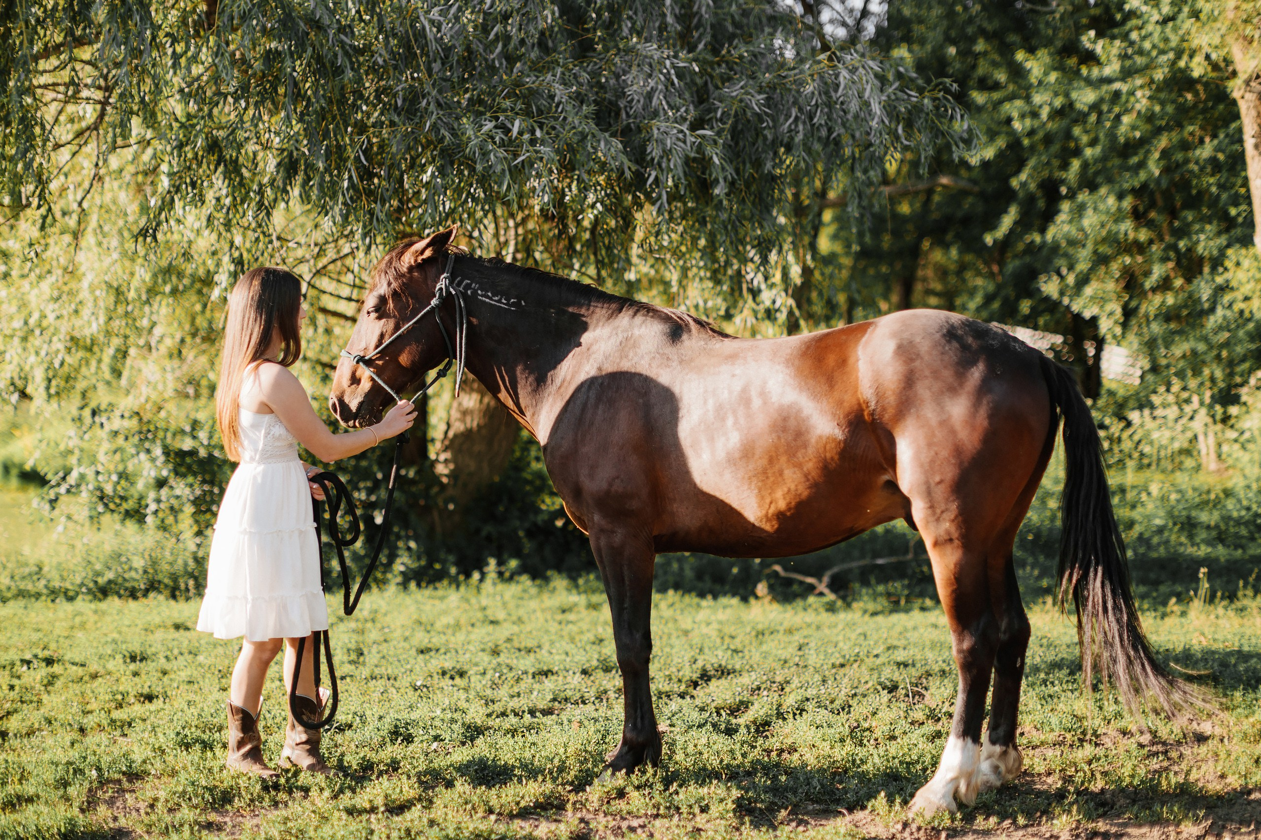 30.05.24 Family Photoshoot. Wedding family event photographer in Chicago Nick Yushevich