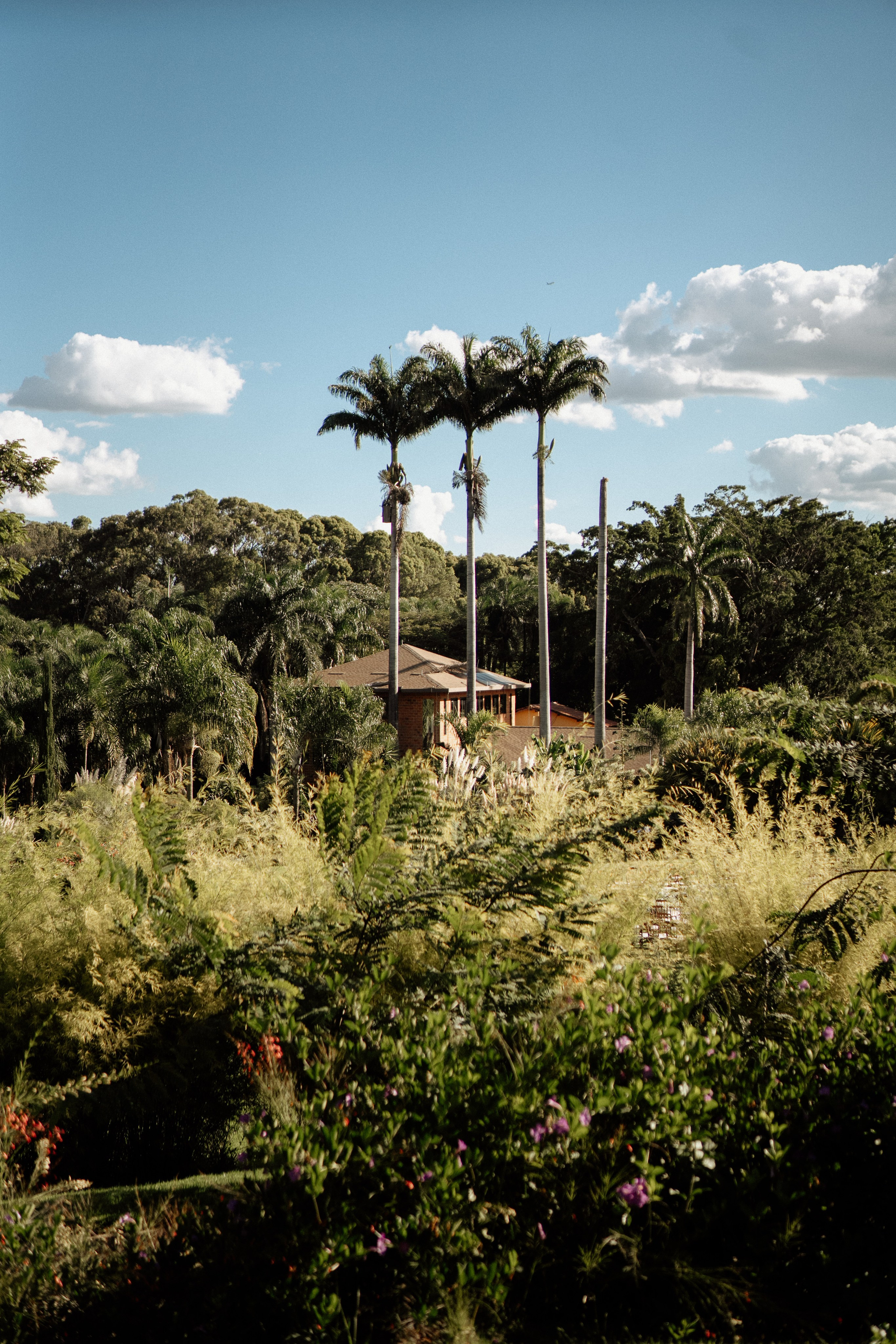 Amanda & Gustavo | Casamento. Congiu Wedding