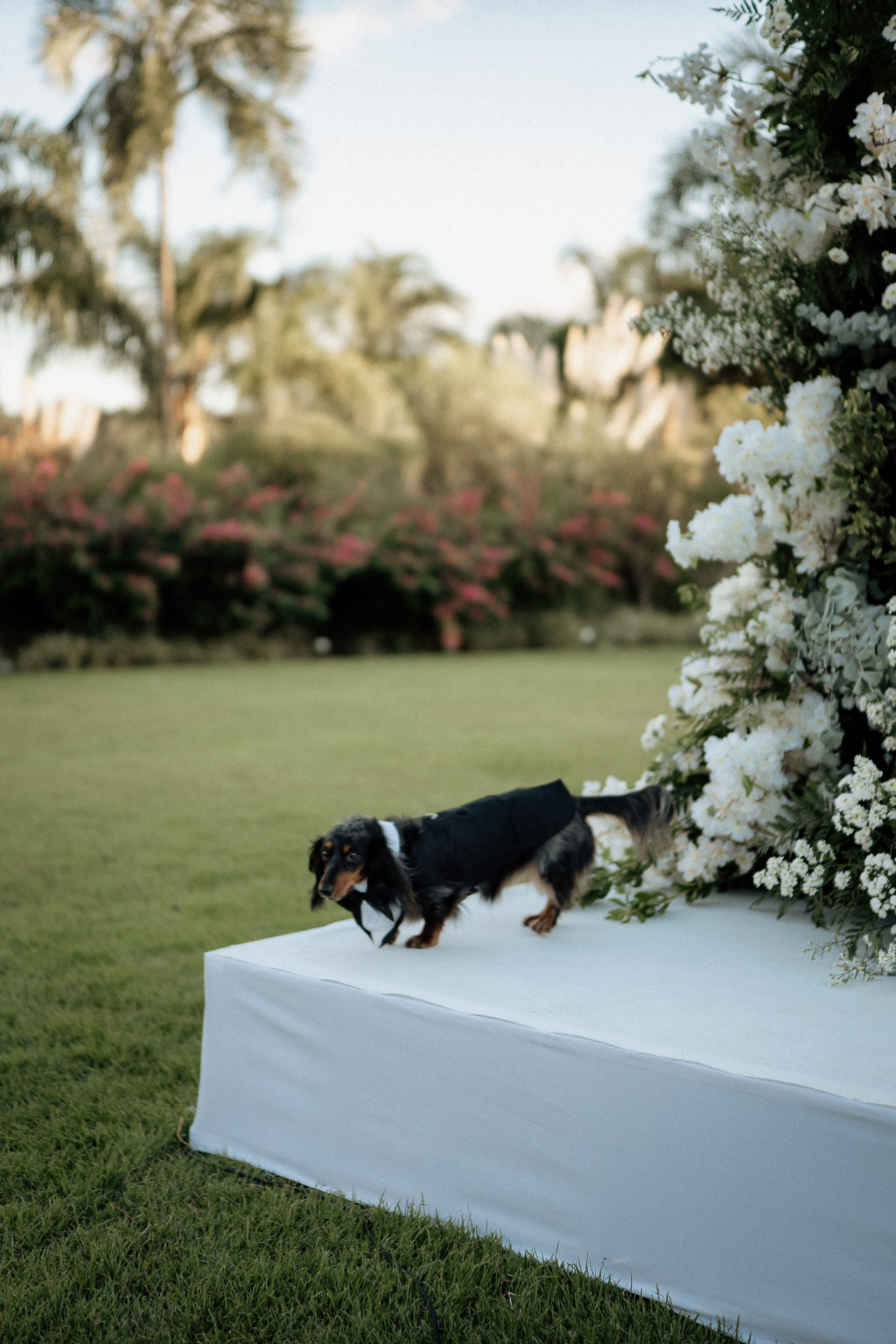 Amanda & Gustavo | Casamento. Congiu Wedding