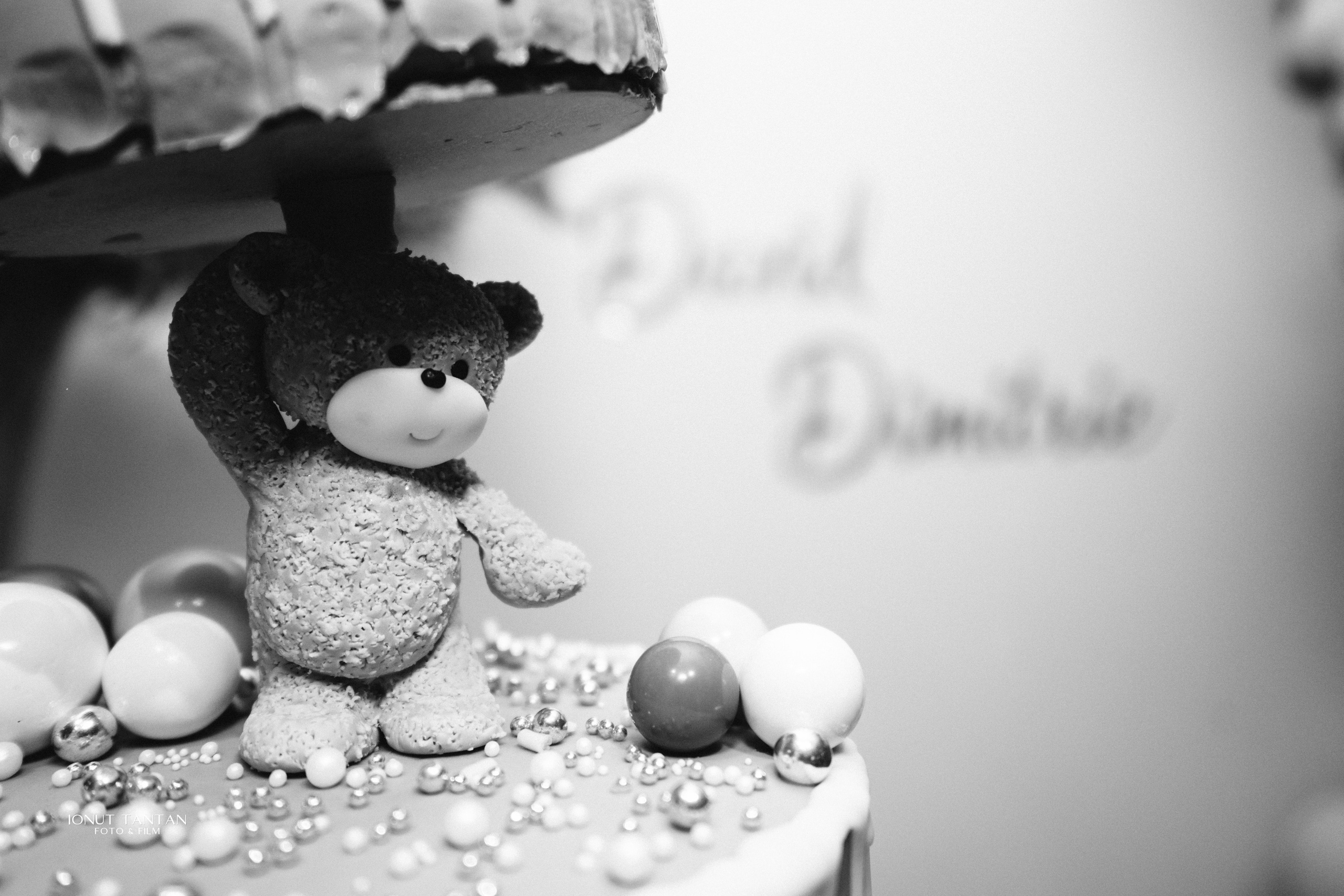 DAVID-DIMITRIE. TANTAN IONUT FOTO & FILM