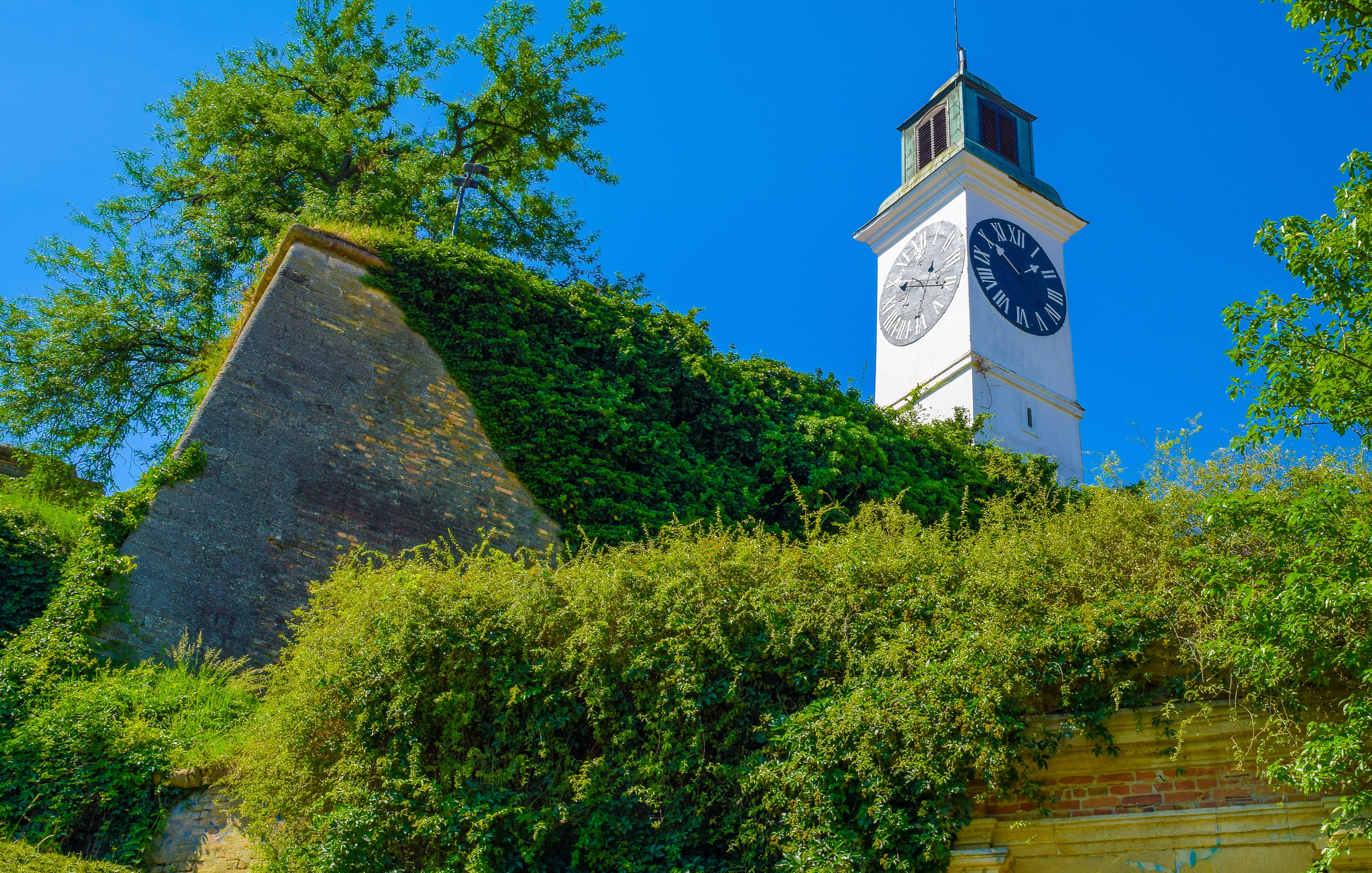 Петроварадин - галерија на продају. Викторија Федосеенко, фотограф у Србији