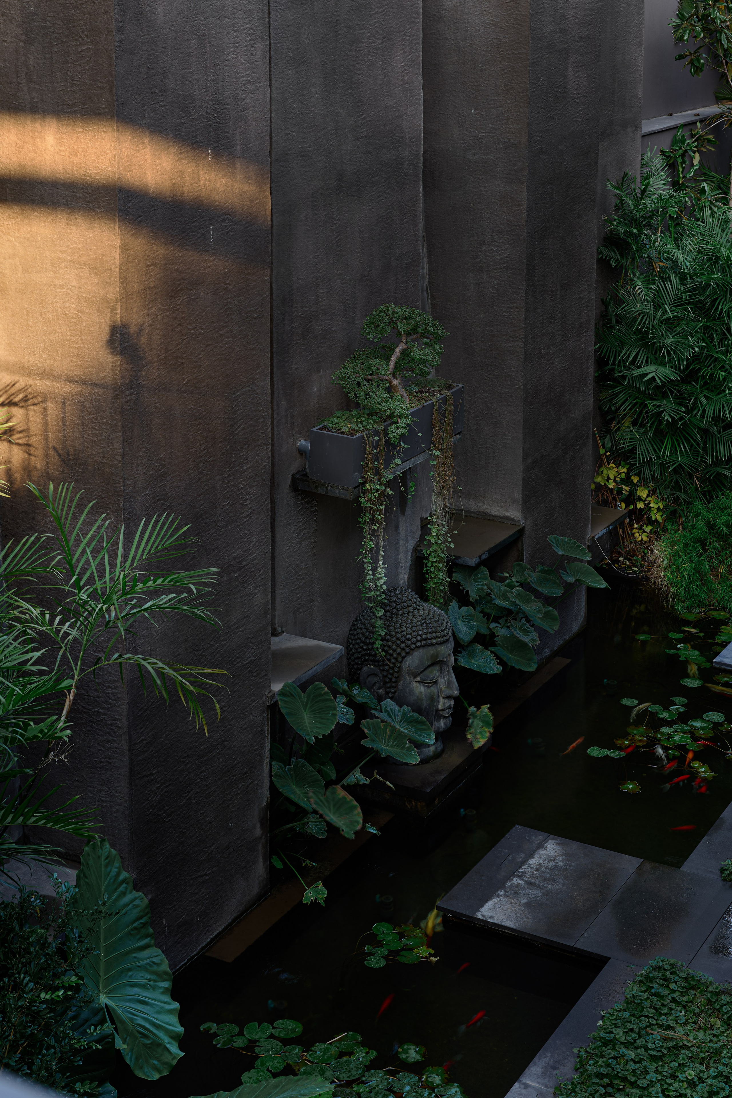 Thai House. Интерьерный фотограф и видеограф Израиль