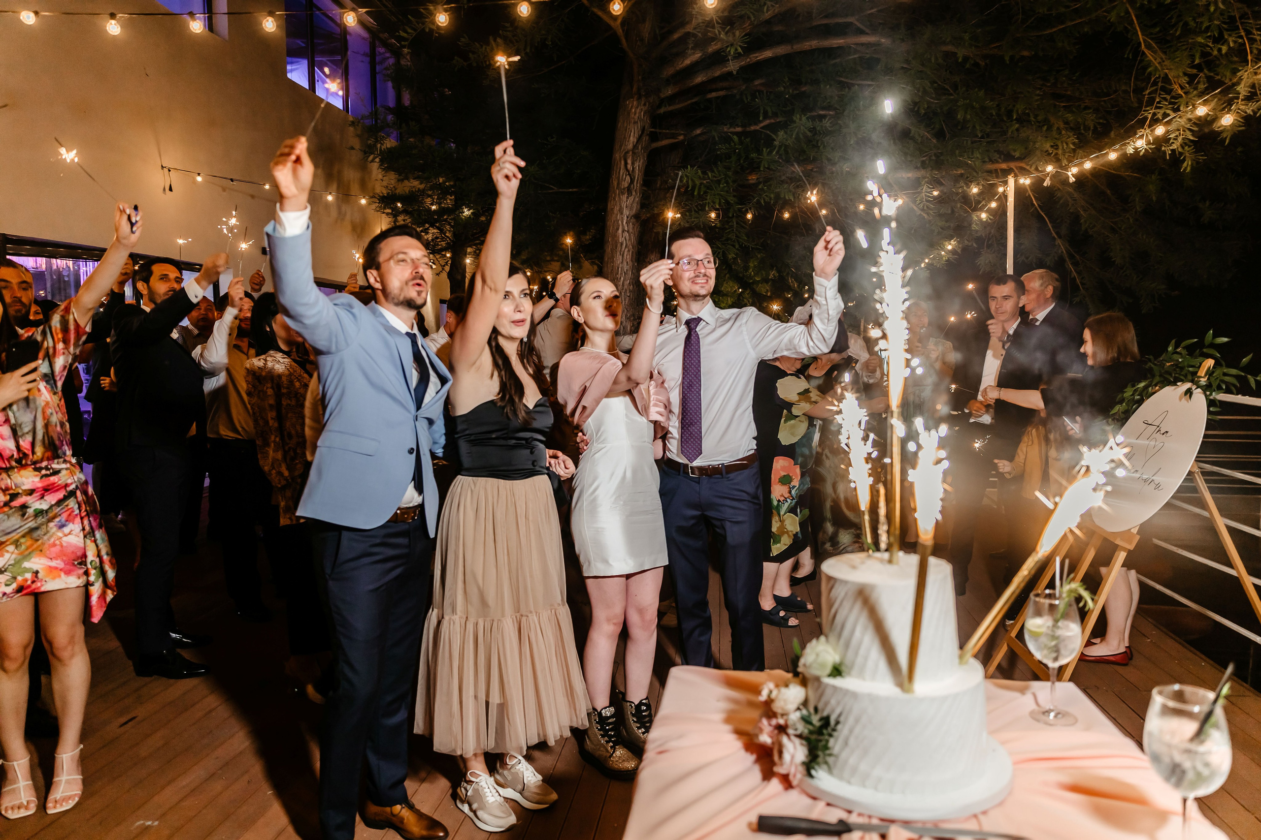 Ana & Alex - Civil Wedding - Craiova. Fotograf Profesionist Pitesti-Bucuresti| Mircea Seinea