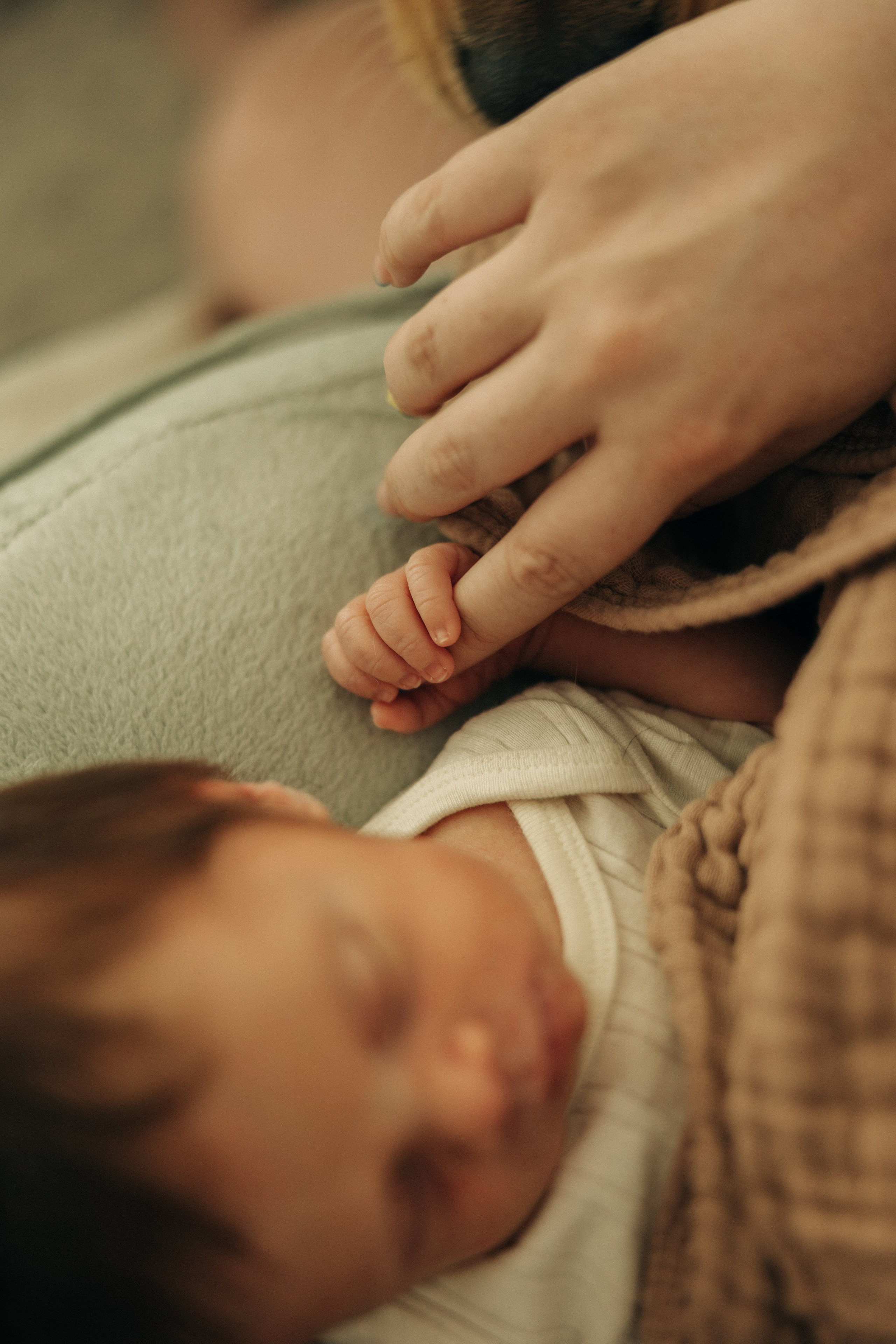 The Williams. Sara Eulalia | Virginia Photographer