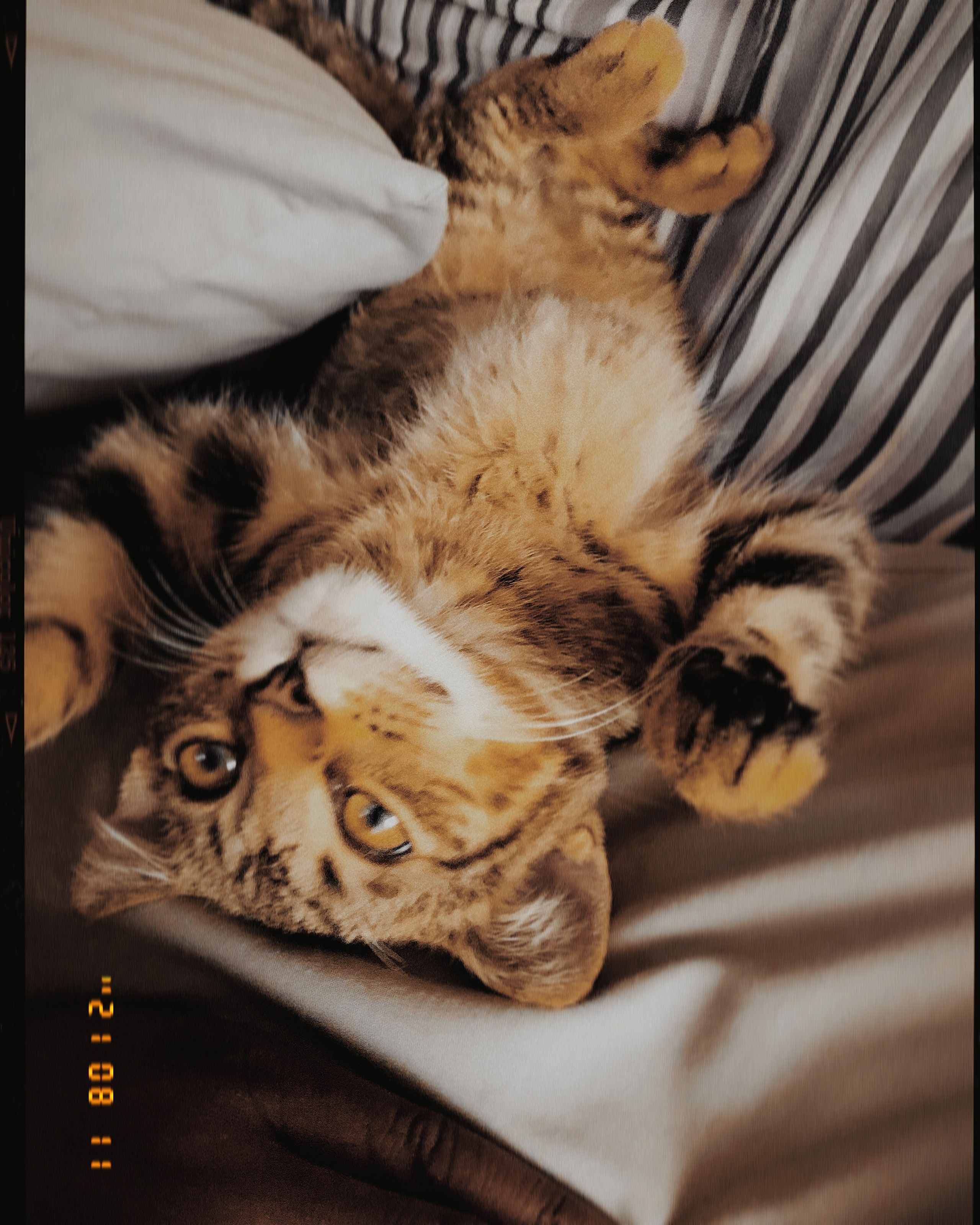 Mario Brown’s Lens Work