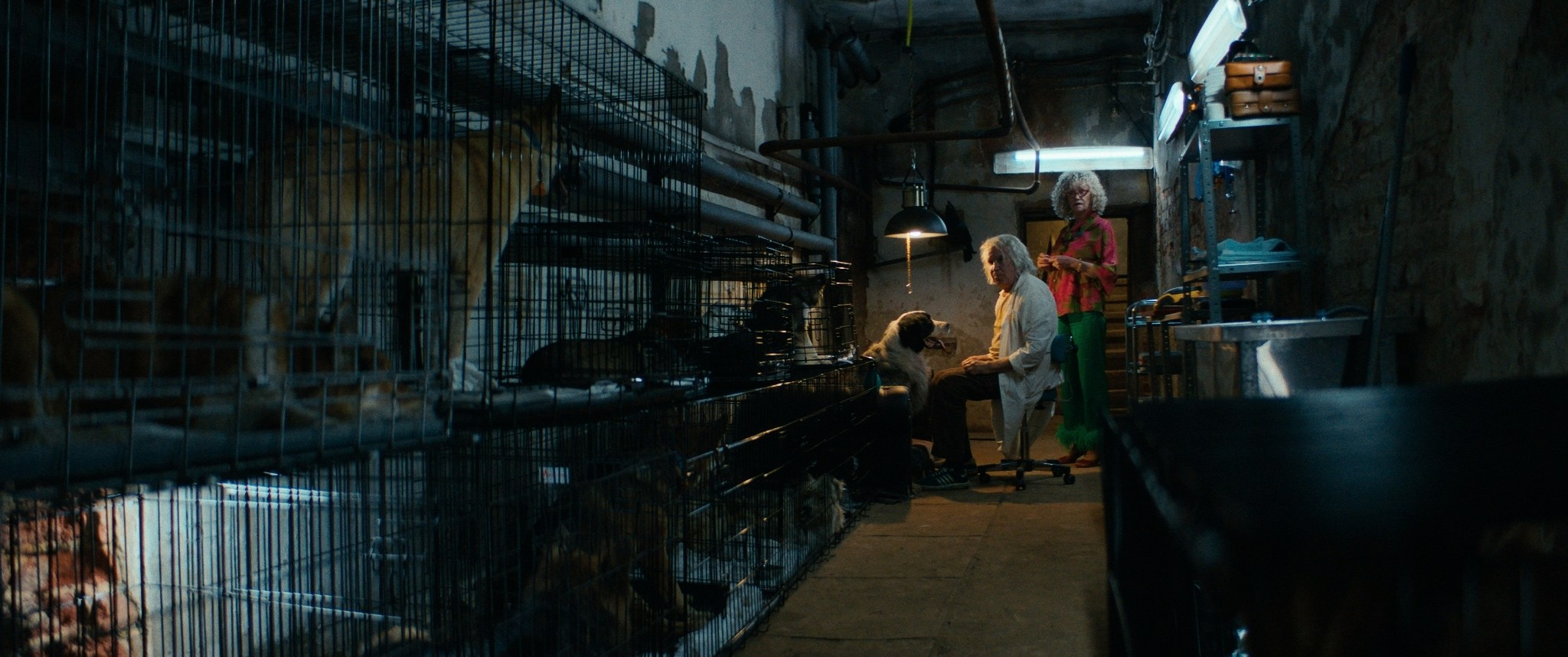 Doctor Gaf | Film. Ilia Ivanov