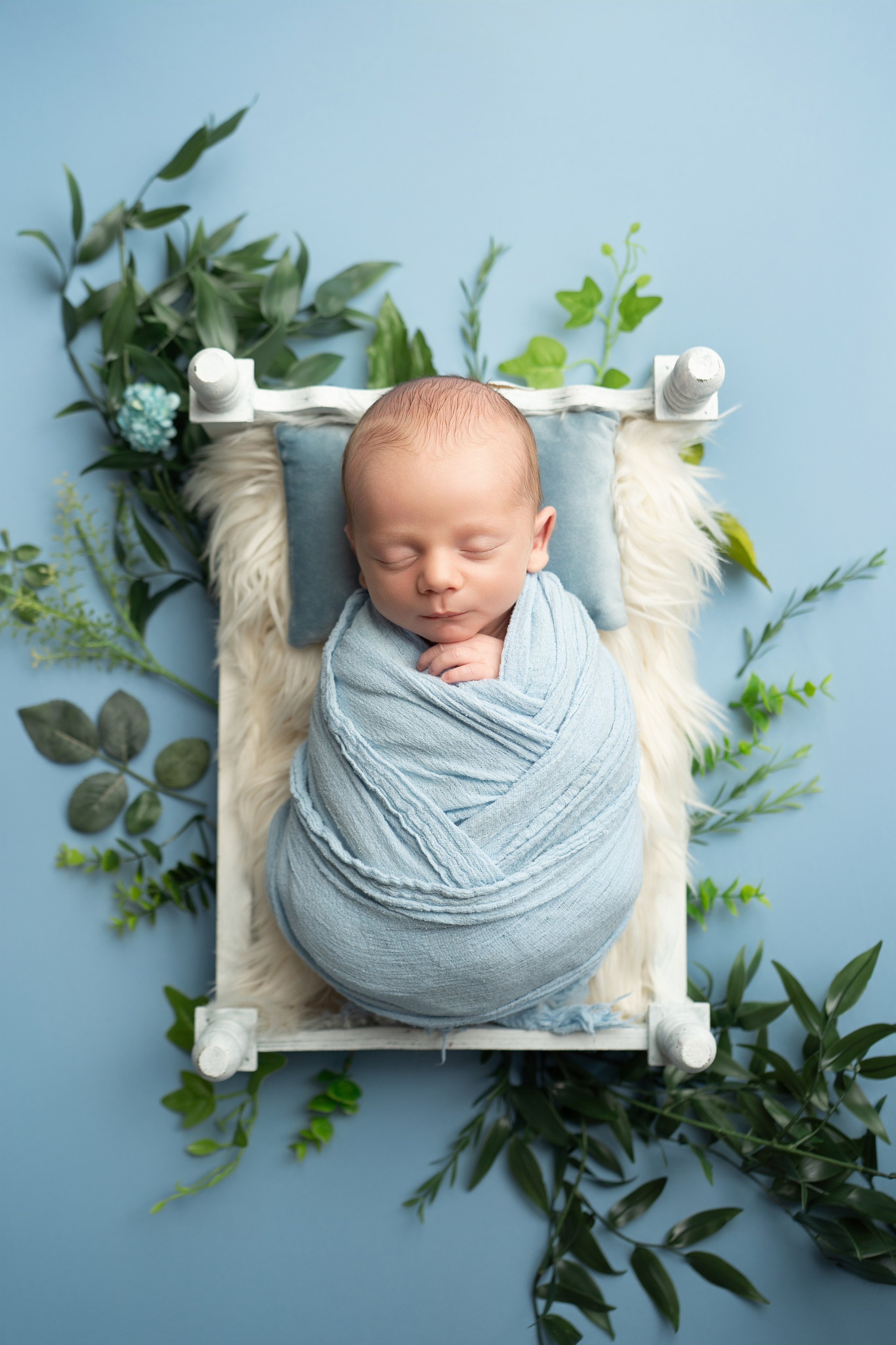 Posed Newborn. Maternity, family and newborn photography in San Francisco Bay Area