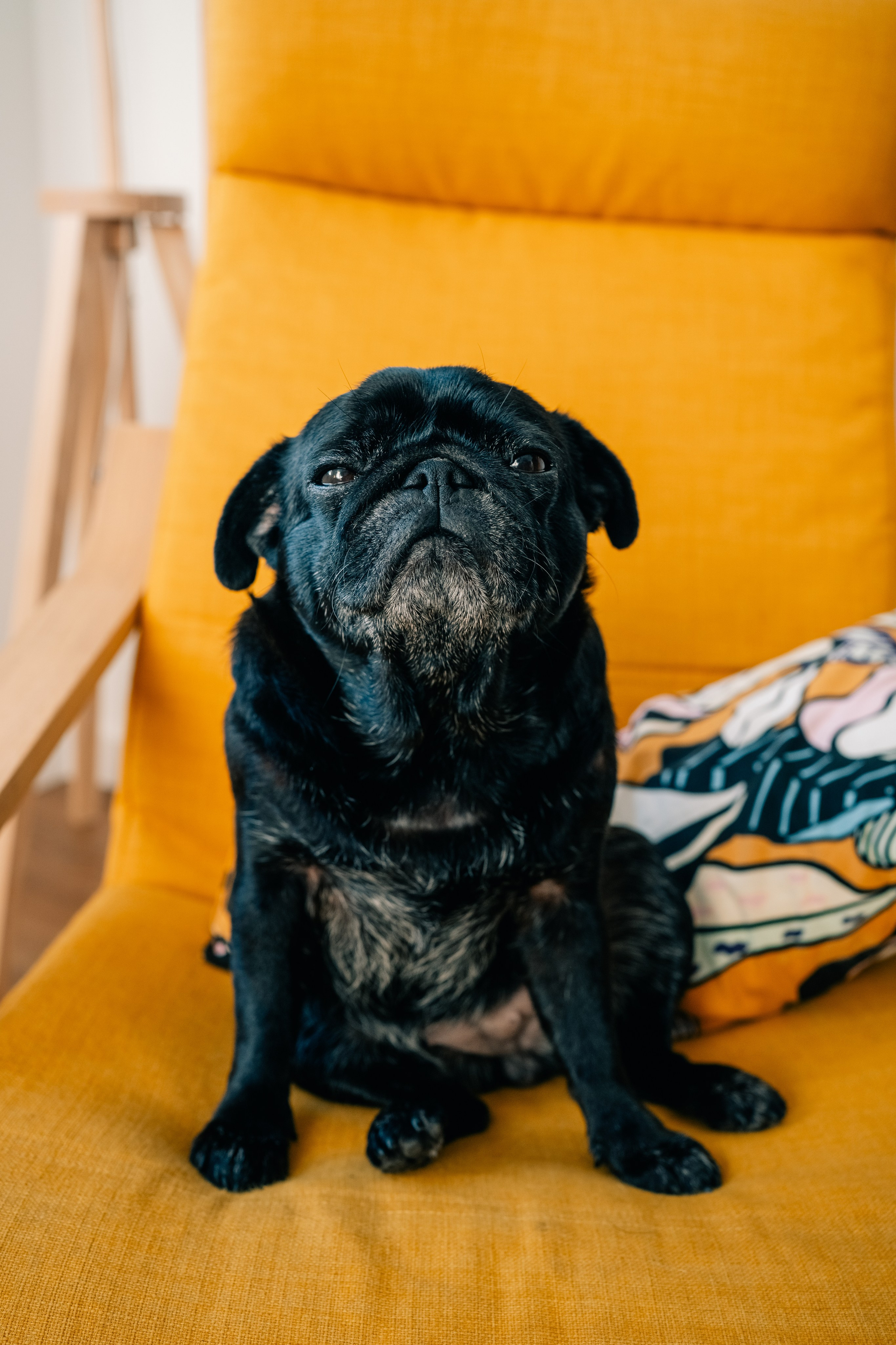 Nastya & Nina. Maria Sher. Fotógrafa profissional do Porto, Portugal