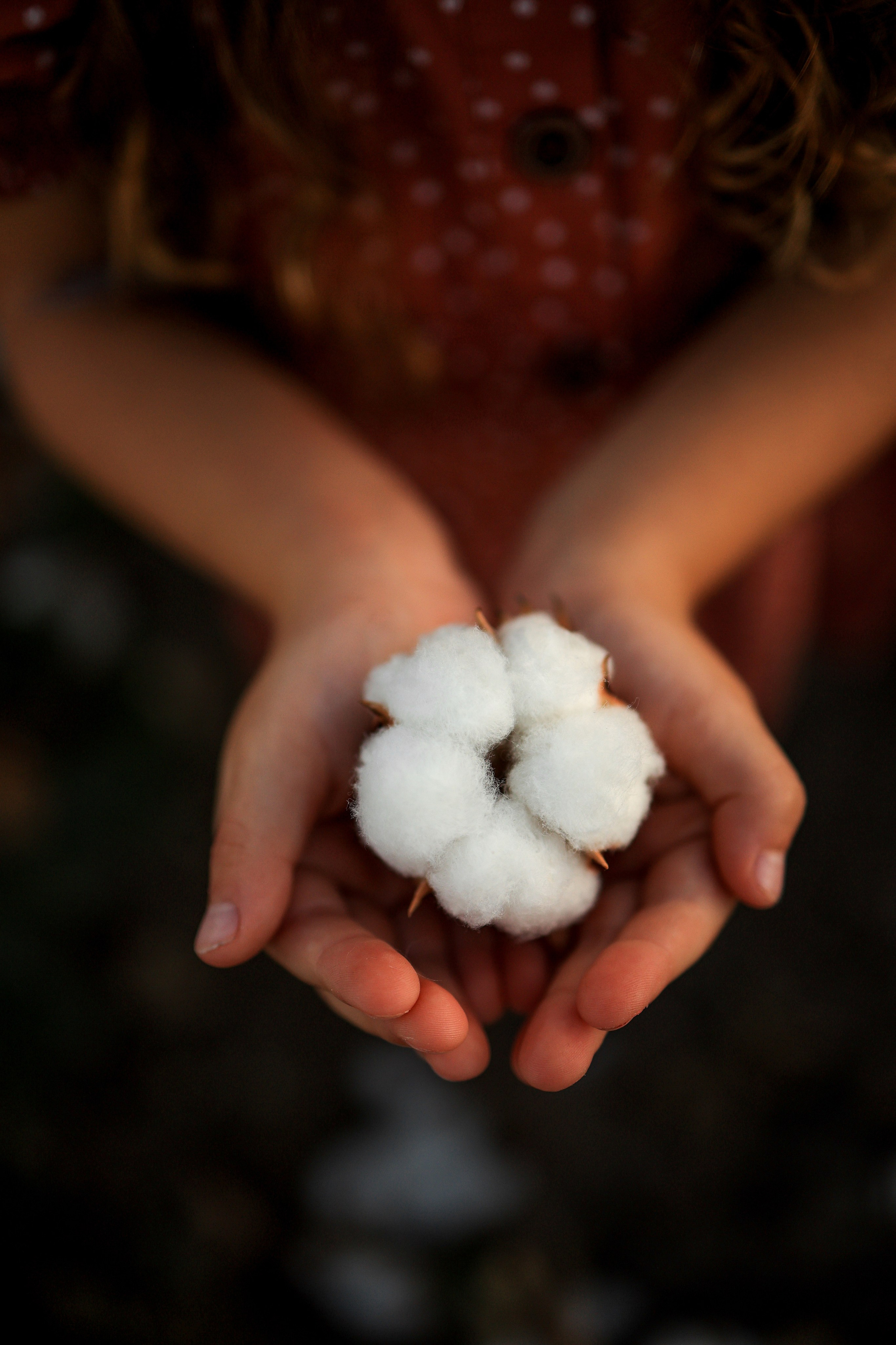 Фотосессия на хлопковом поле. Фотограф в Турции, Анталии, Кемере, Белеке, Сиде, Каше, Калкане, Фетхие