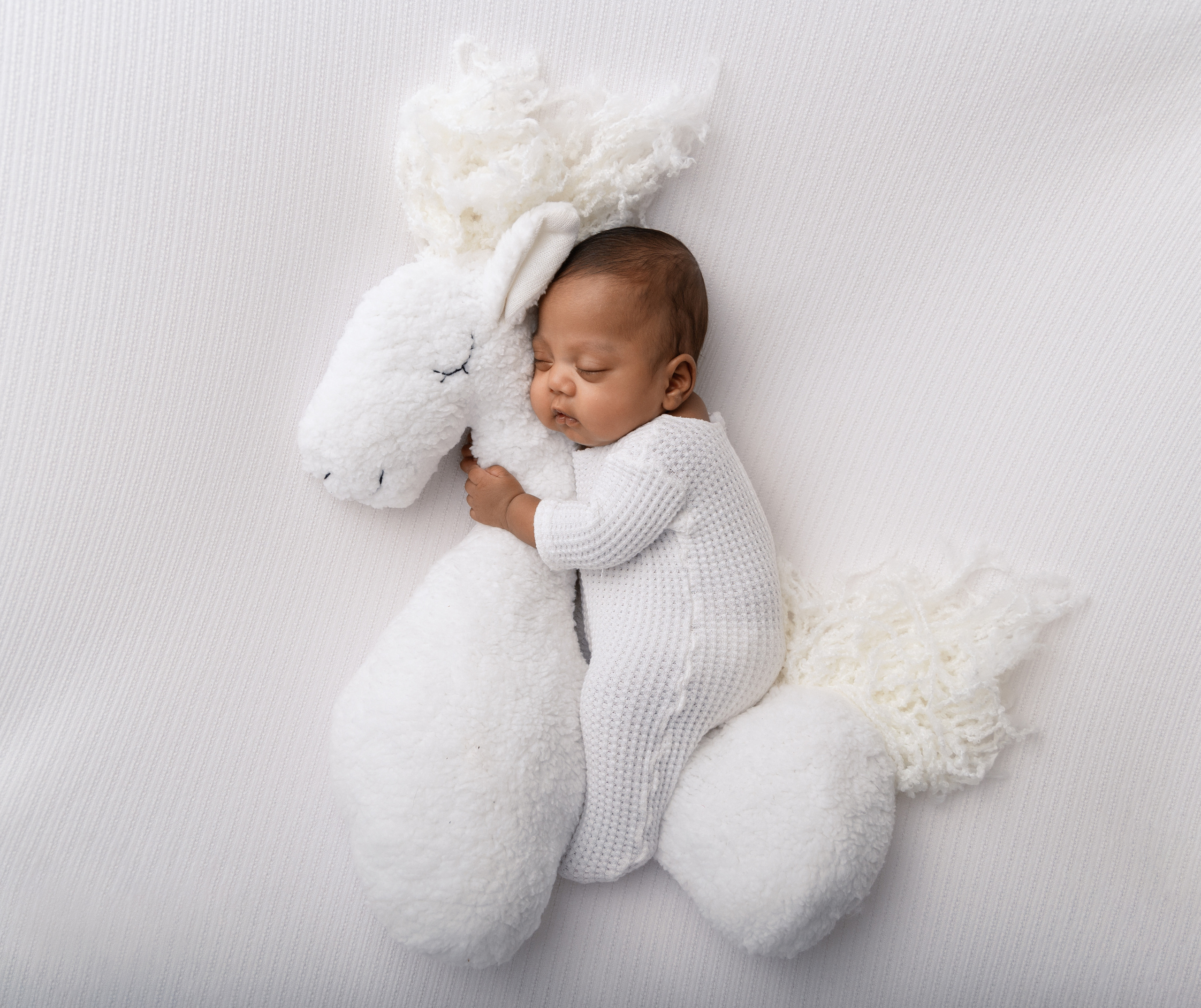 Newborn. Professional photographer in NYC Kristina Bagdasaryan