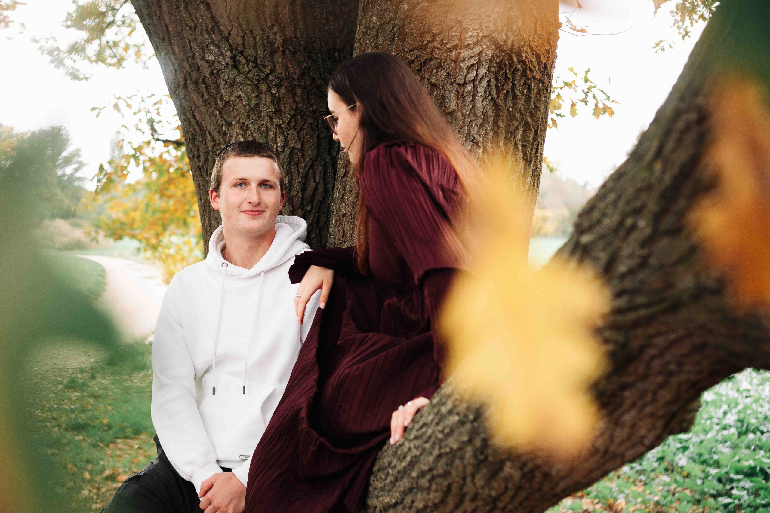 BIG OAK, BIG FAMILY. Https://shi-photo.com/