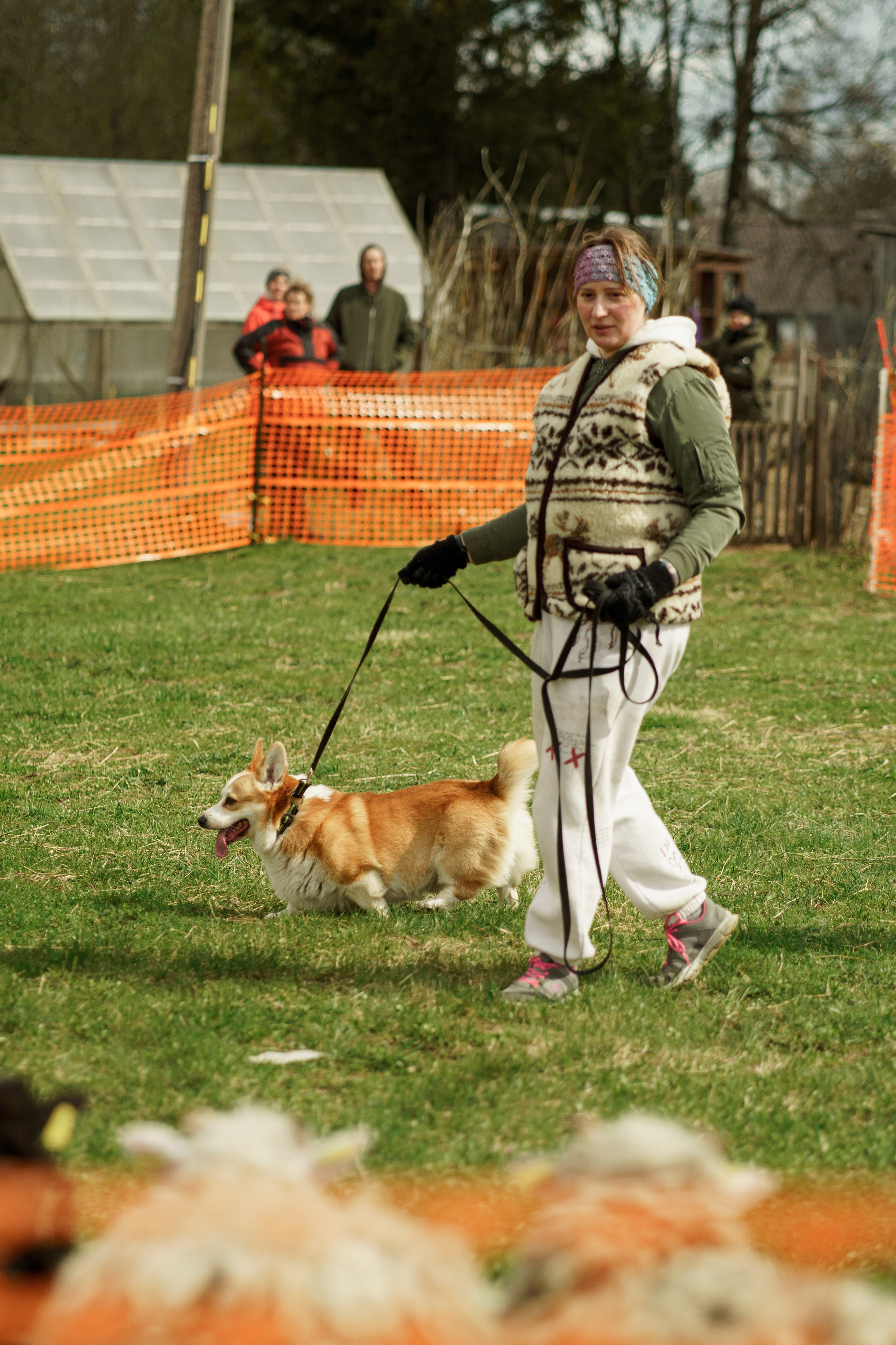 Herding Days, 26 apr. 2025. Kat Laisaar — Pet photographer in Tallinn