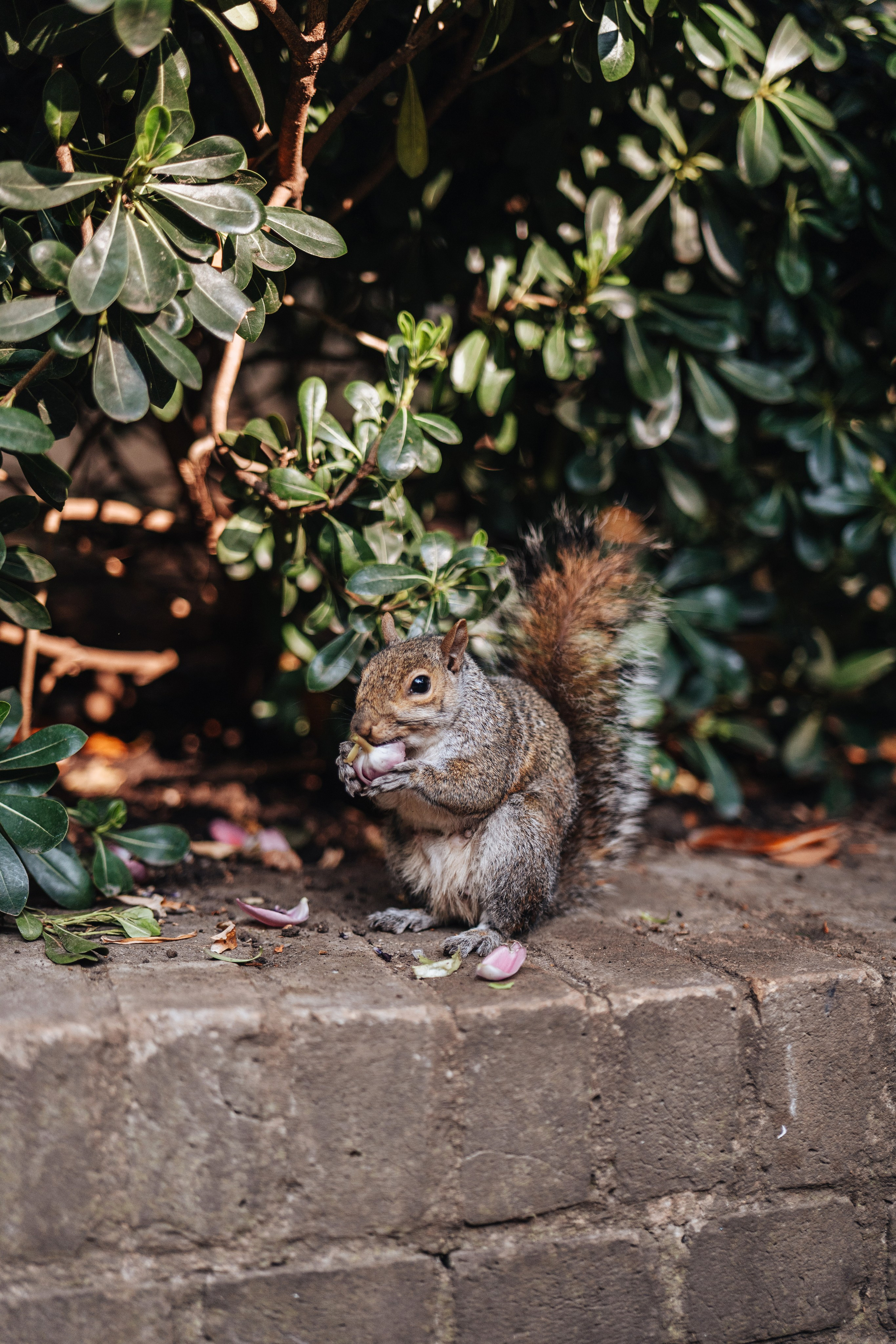 Selen and Canberk. Wedding and family photographer in London
