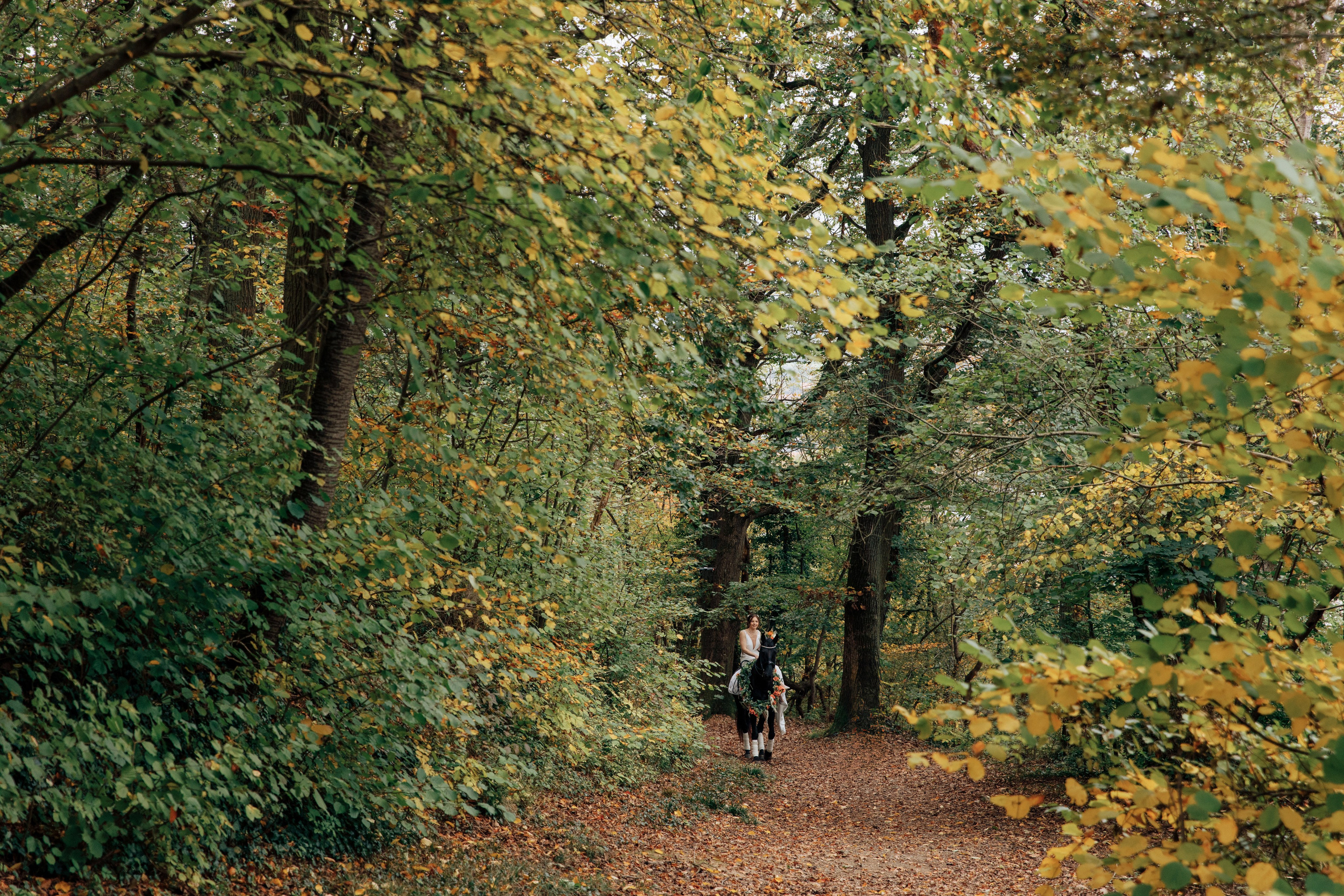 Im herbstlichen Wald reitet die Braut auf einem dunklen Pferd.
