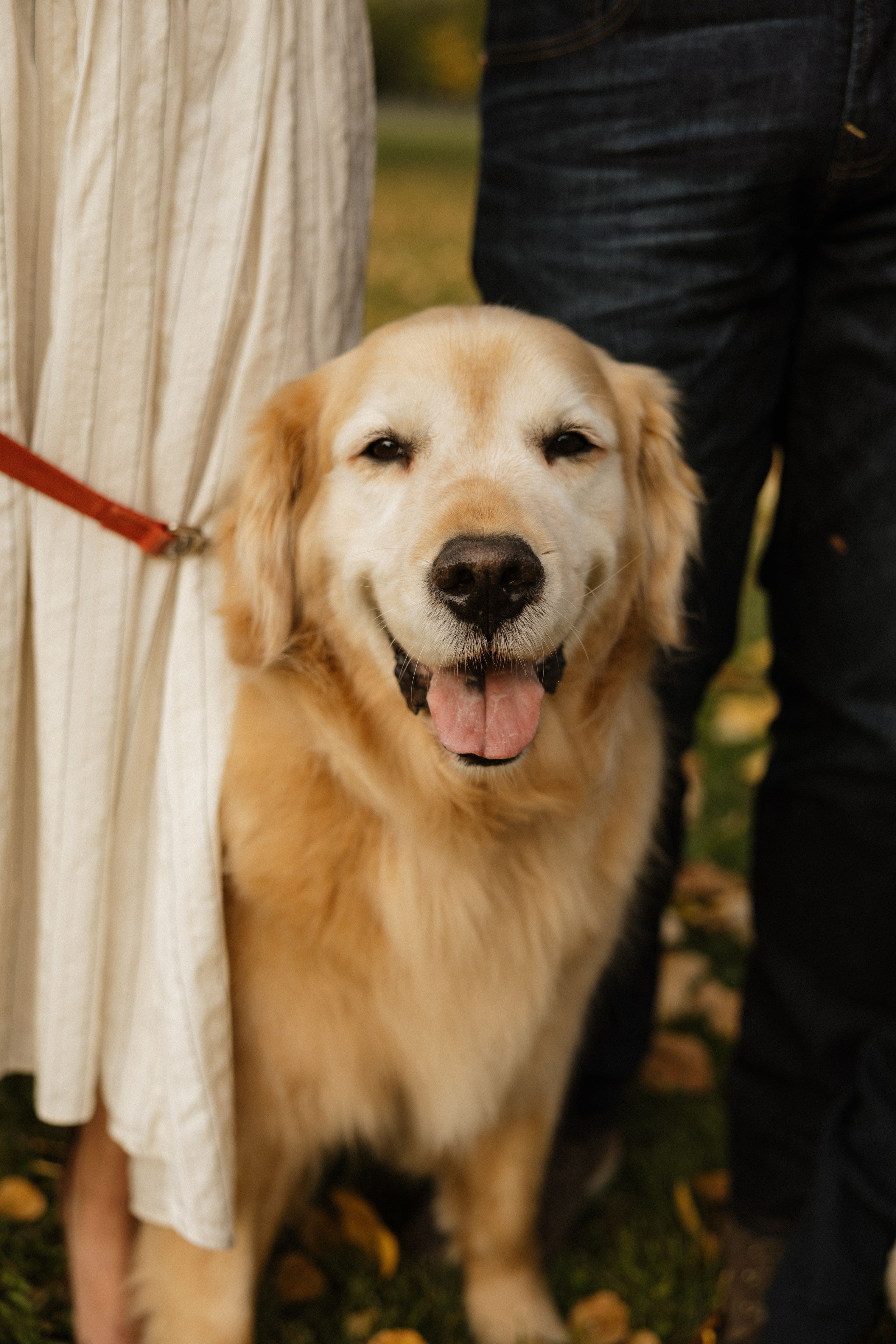 Warm Autumn with Kendra & Family. Photographer Stanislav Antonov