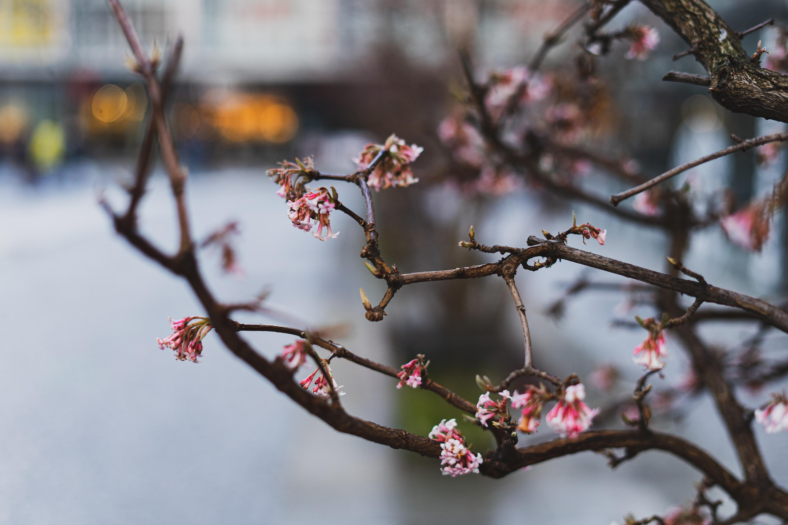Chambéry. Photographe à Genève - Eugenia Andres