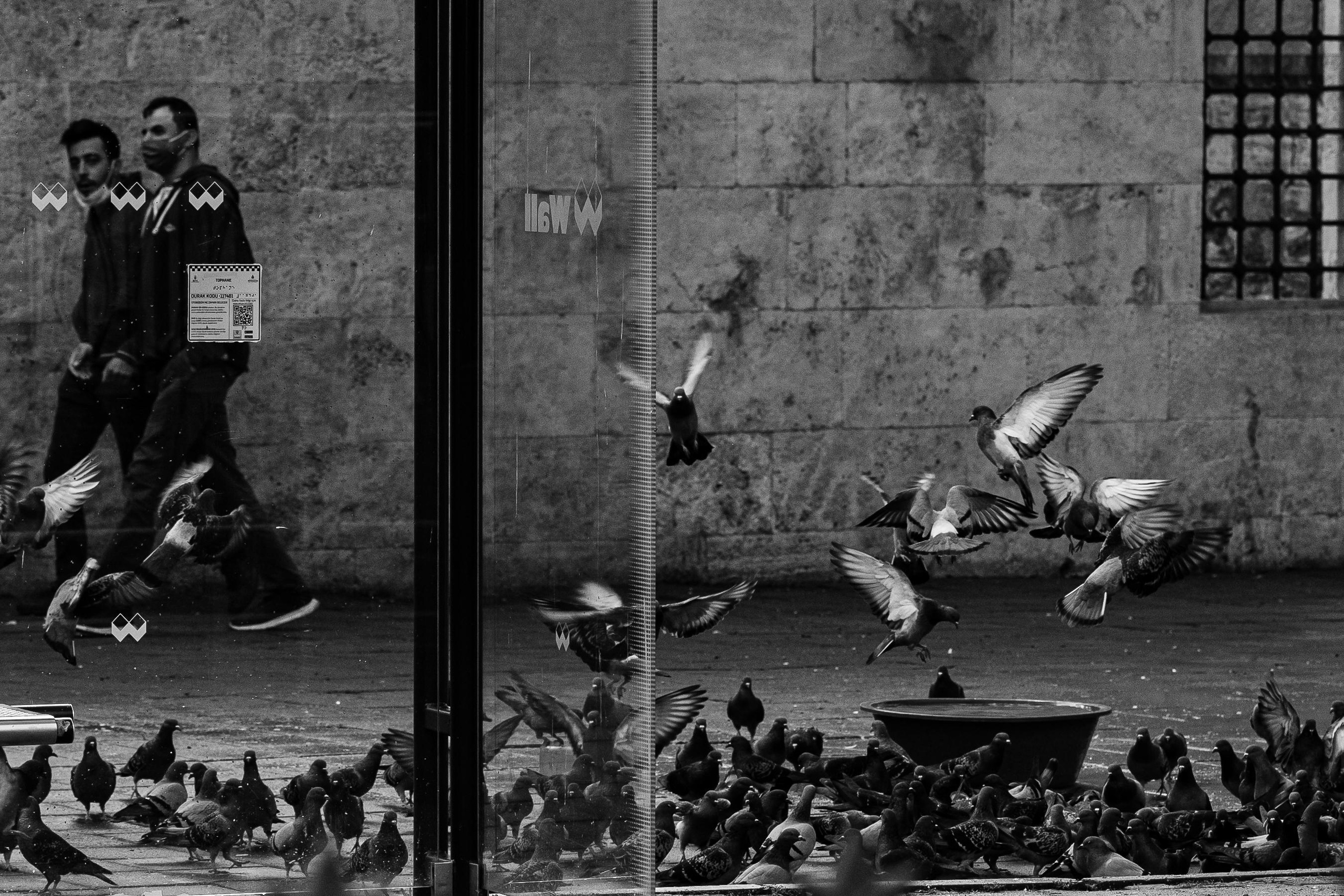 Istanbul. Photographe à Genève - Eugenia Andres