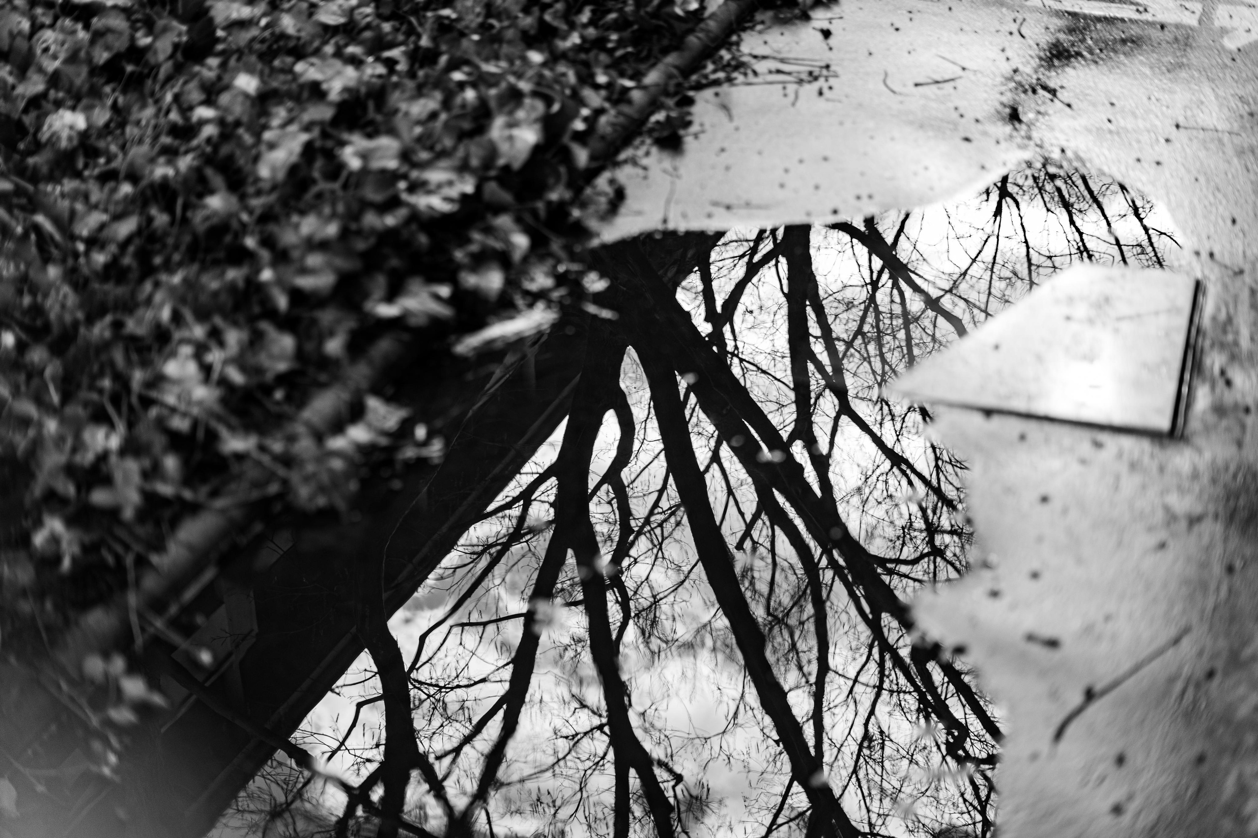 Chambéry. Photographe à Genève - Eugenia Andres