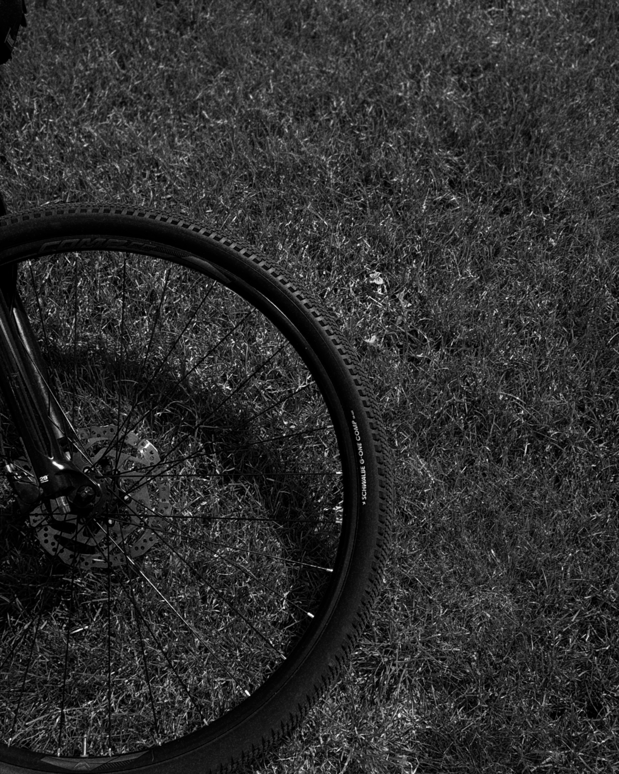 Velo Foto diena