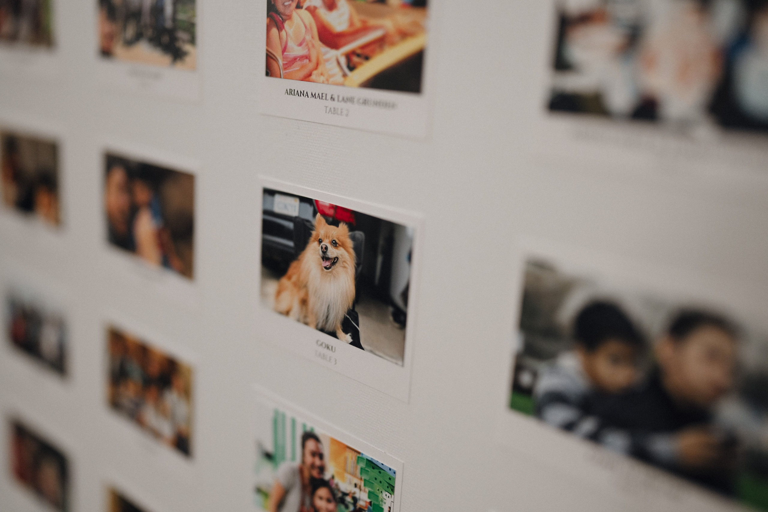 B&K. Orange County Wedding Photographer & Videographer | Candid & Timeless Wedding Photo + Video | Italiantsev