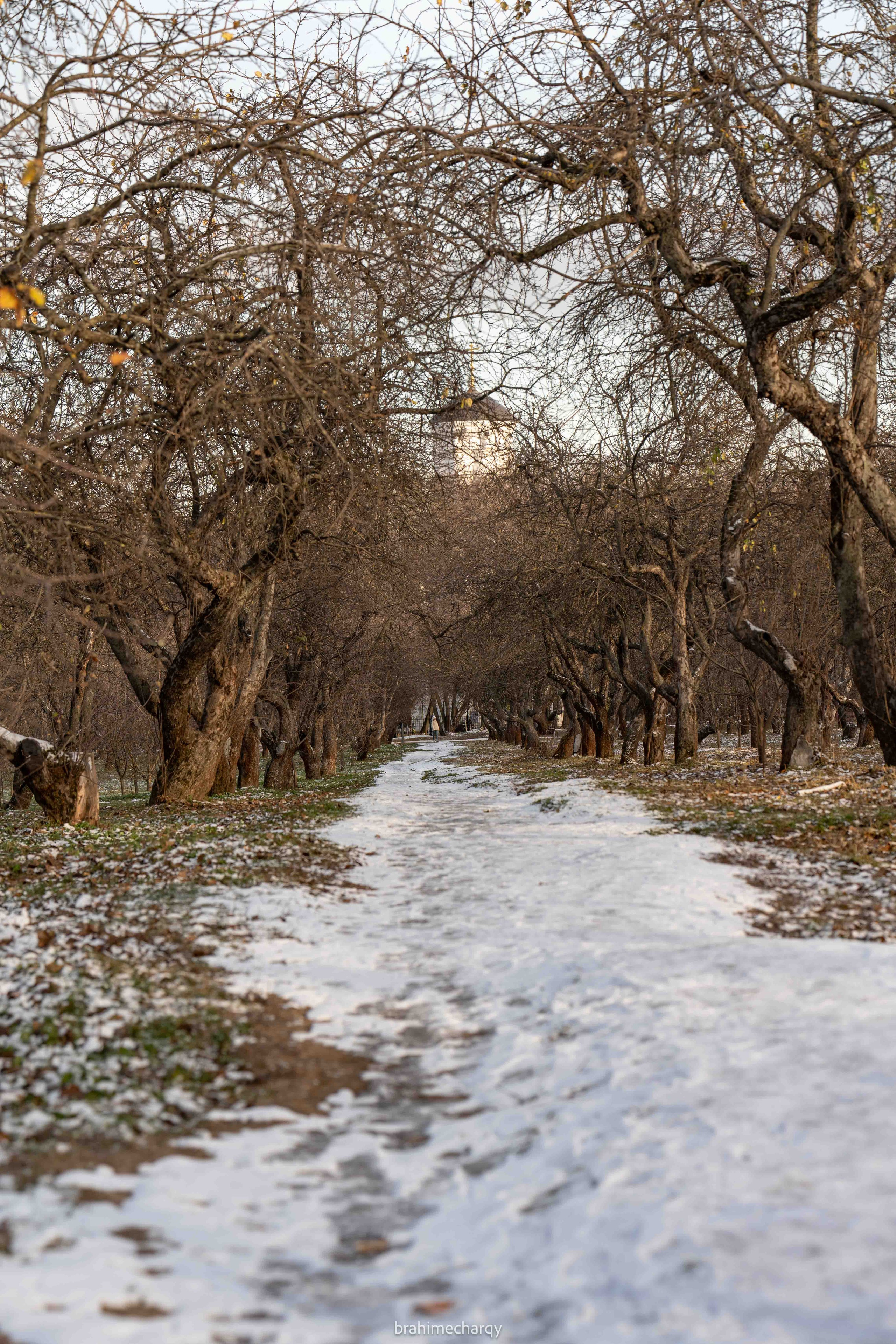 Фото. Брахим — фотограф