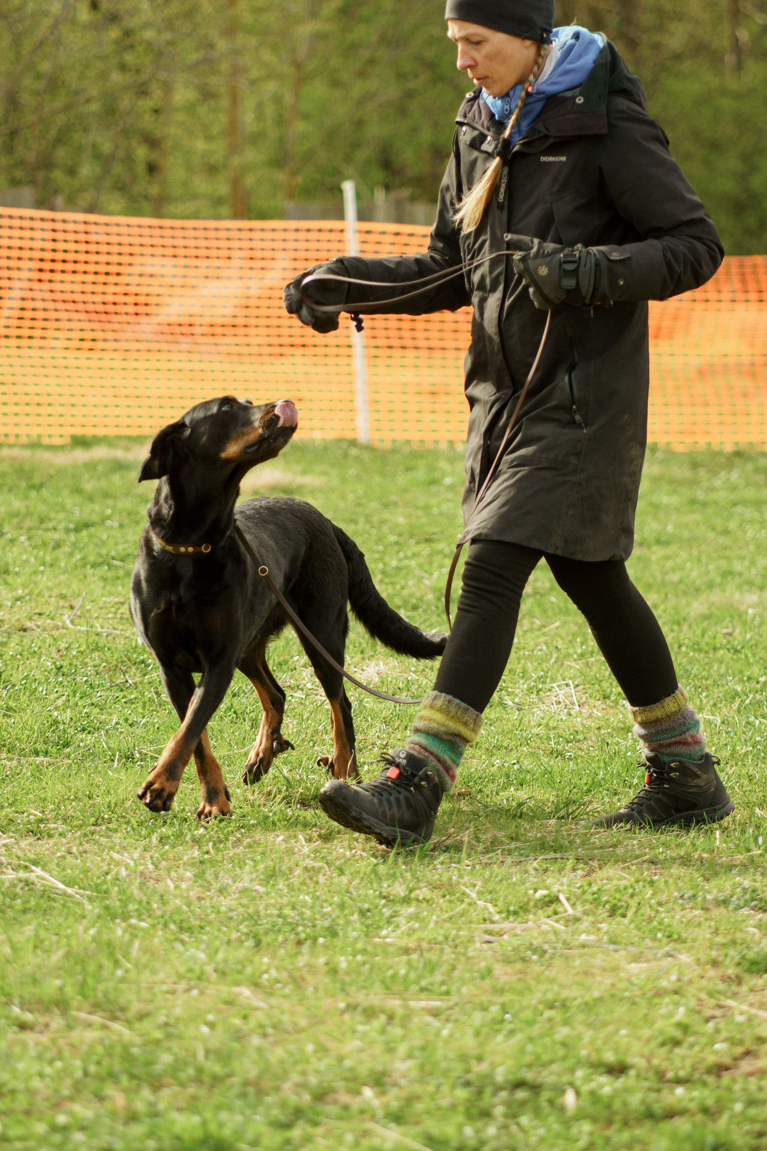 Herding Days, 26 apr. 2025. Kat Laisaar — Pet photographer in Tallinn