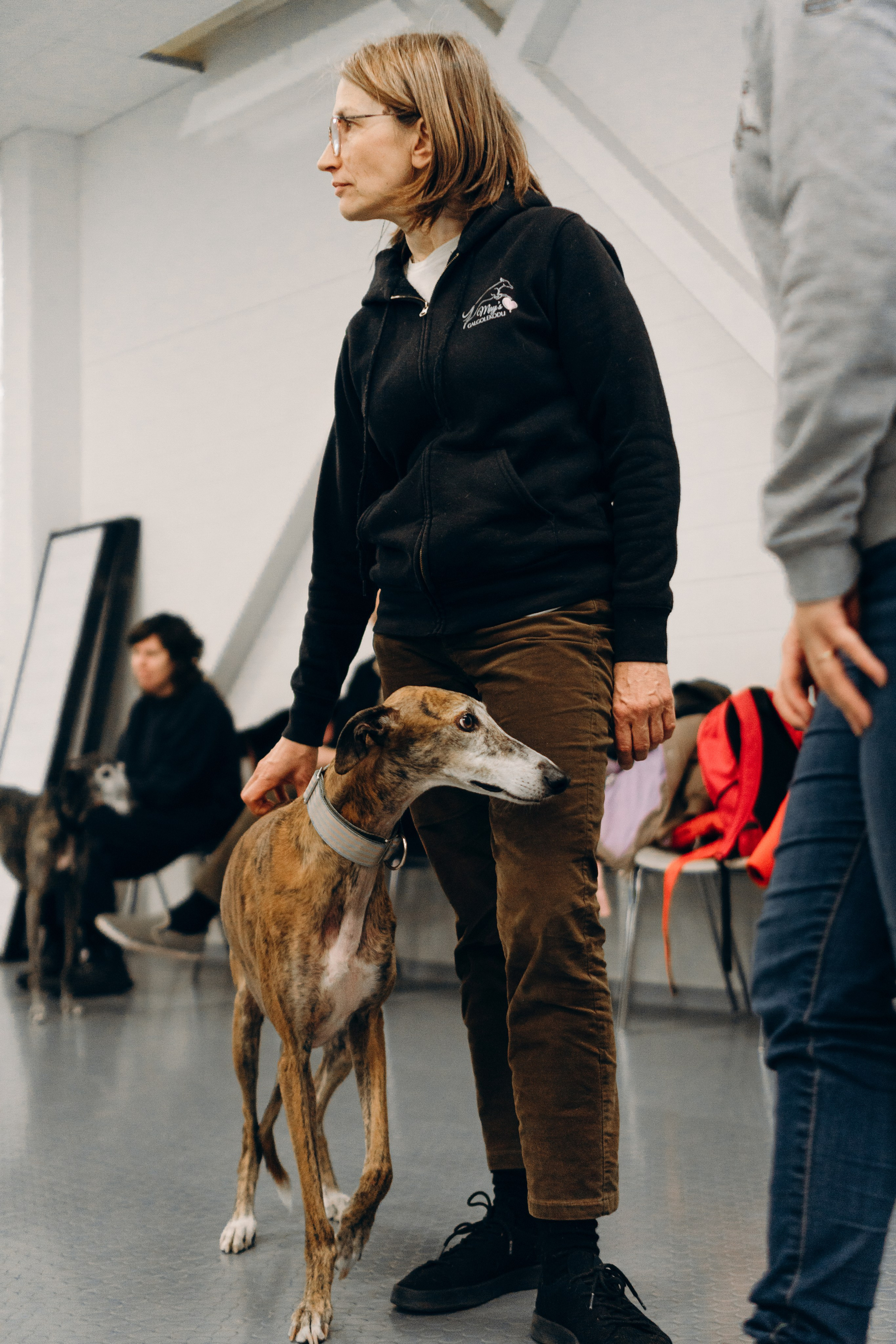 GalgoTreff / PetCity Rannamõisa, 13 apr. 2025. Kat Laisaar — Pet photographer in Tallinn