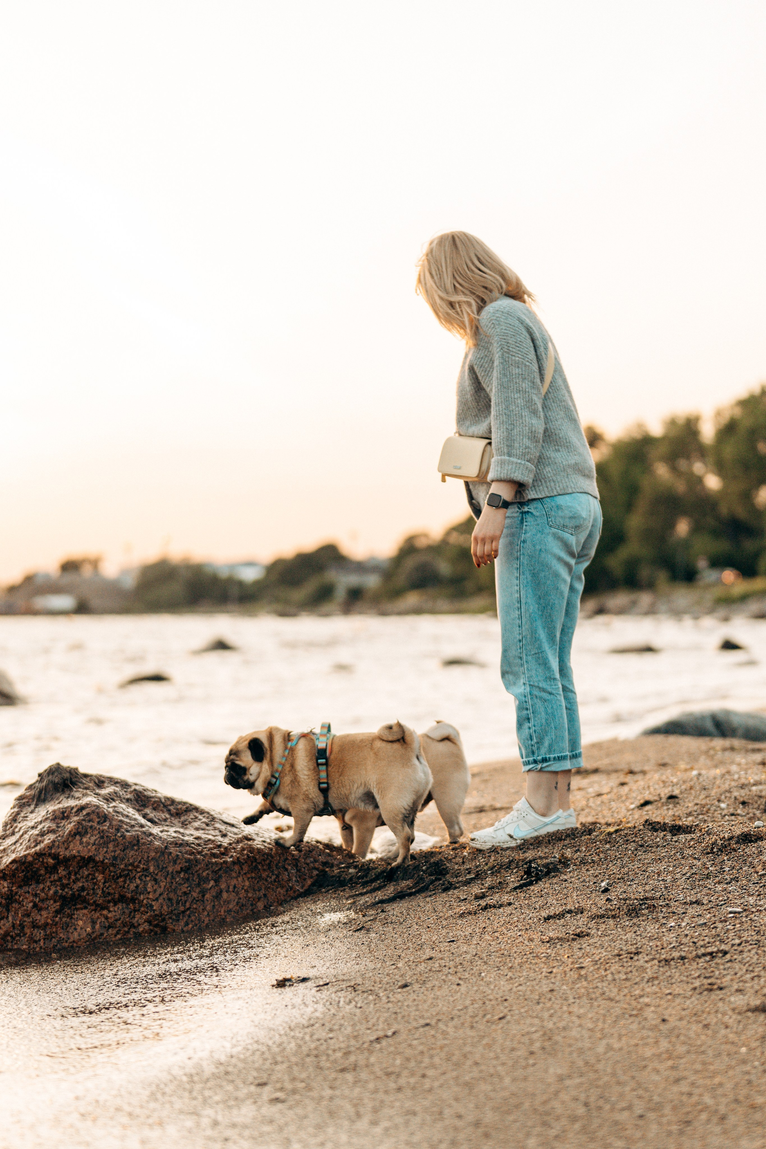 Frank, Tony, Katerina & Lev. Kat Laisaar — Pet photographer in Tallinn