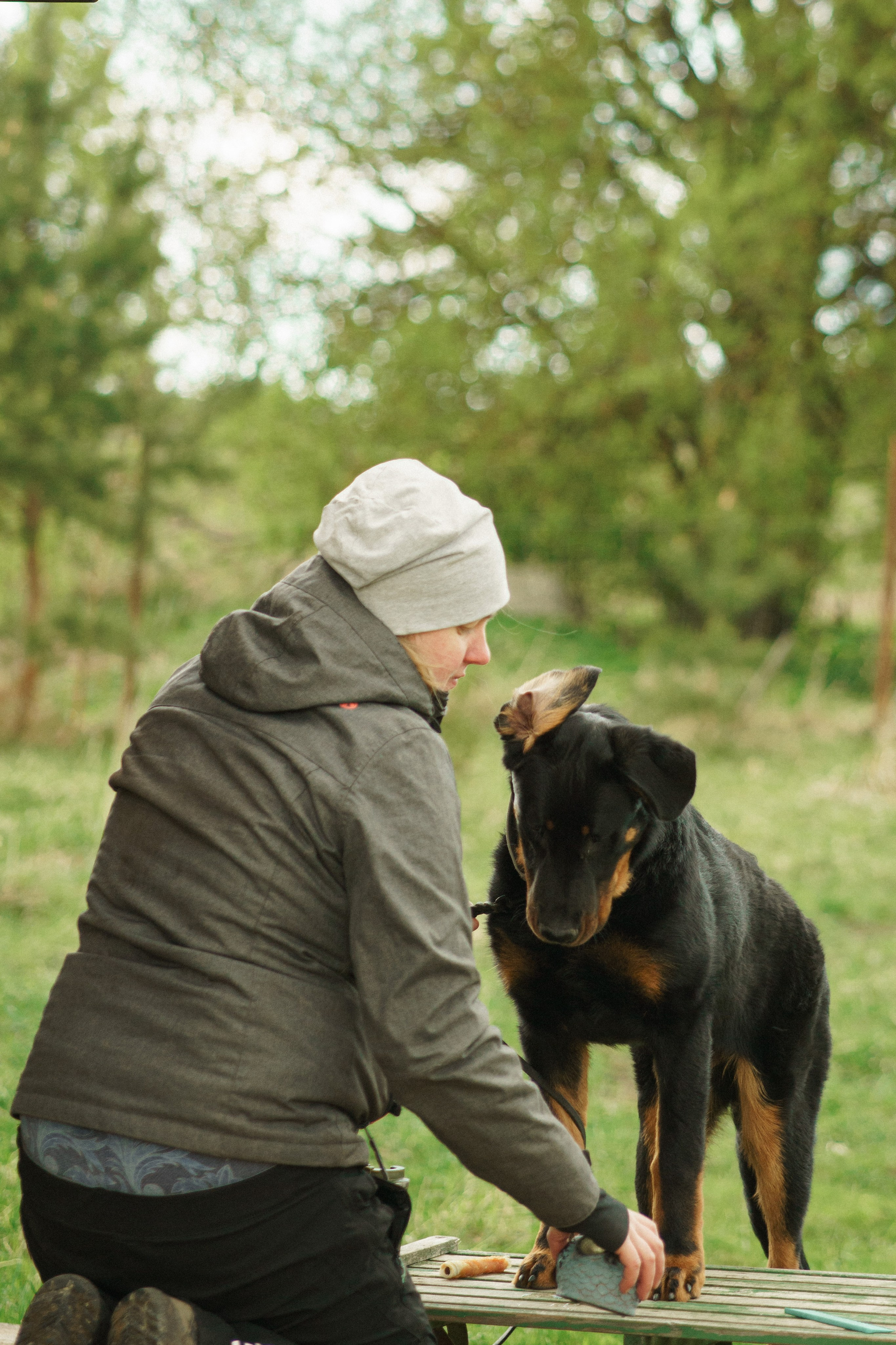 Herding Days, 26 apr. 2025. Kat Laisaar — Pet photographer in Tallinn