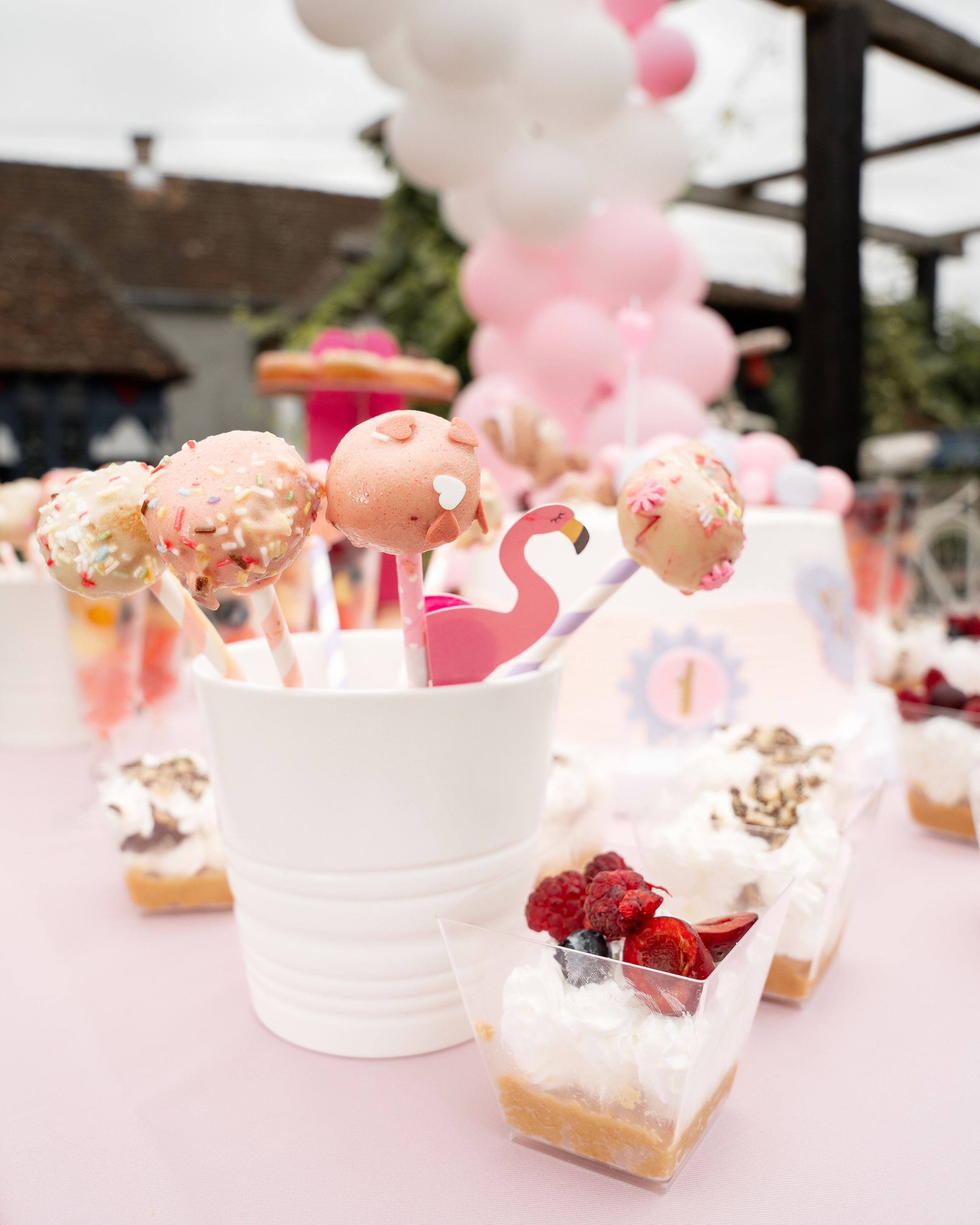 Event. Profesionalna Fotografija Beograd — Staša Komatina