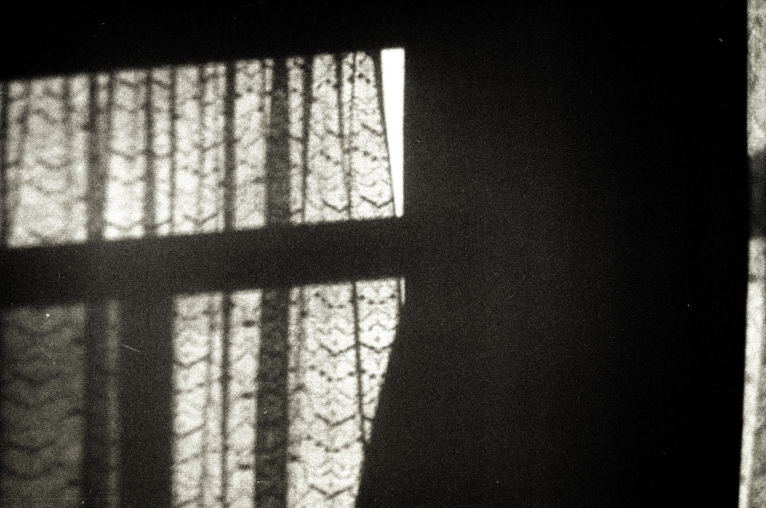 Personal Photography. Arman Milani, Brand-Focused Video Production & Content Creation, Based in Berlin