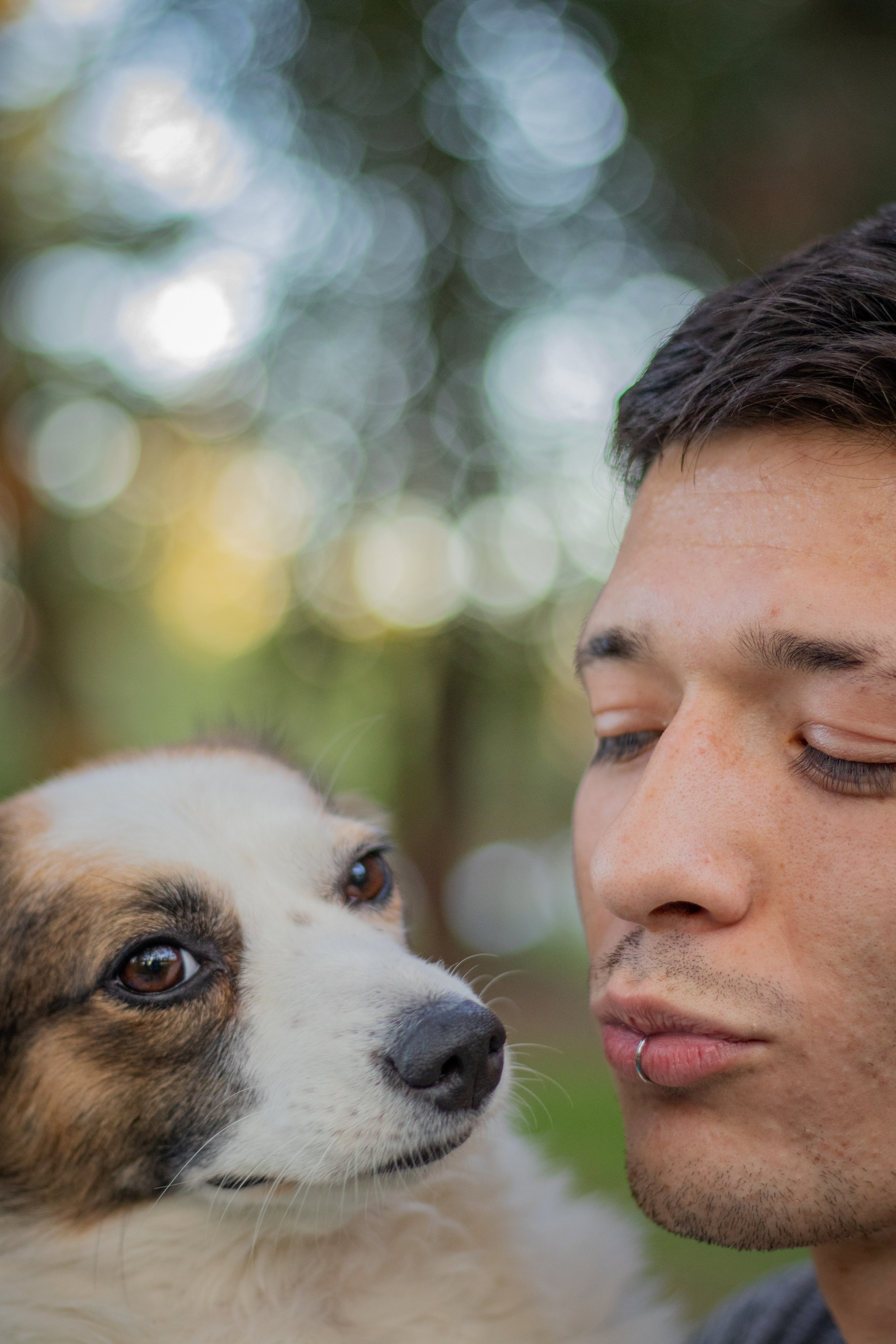 retrato de mascota en parque
