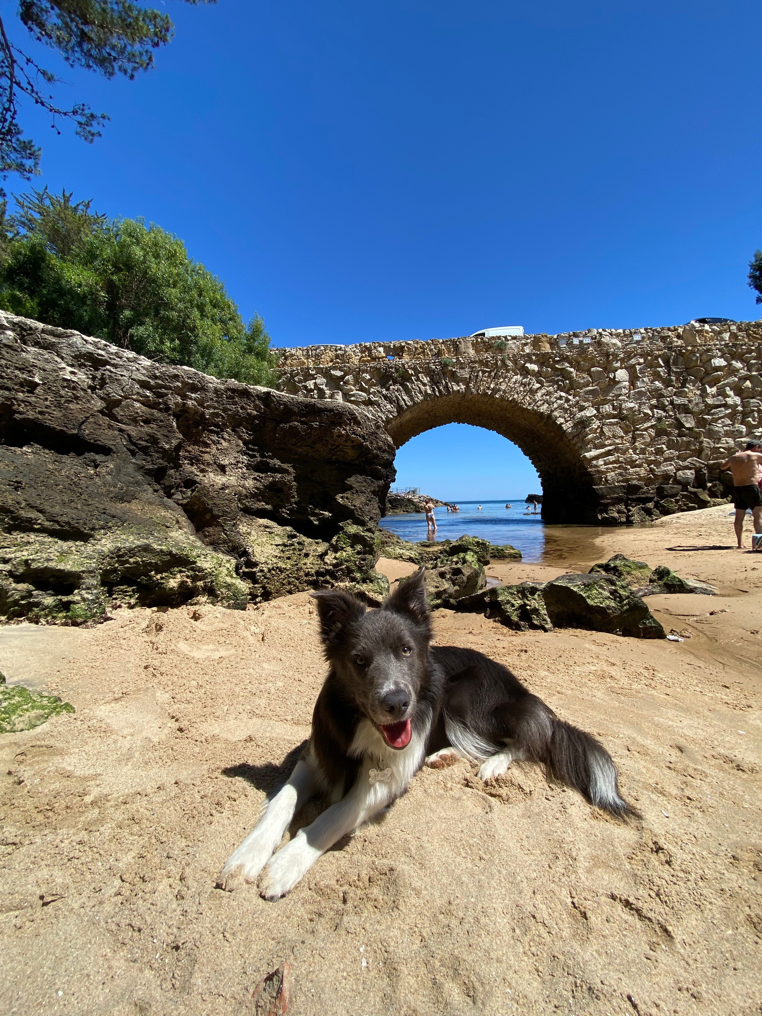 Jógový pobyt v Portugalsku 2024. Mateřství. Nevýchova. Život v souladu s přírodou. Jóga