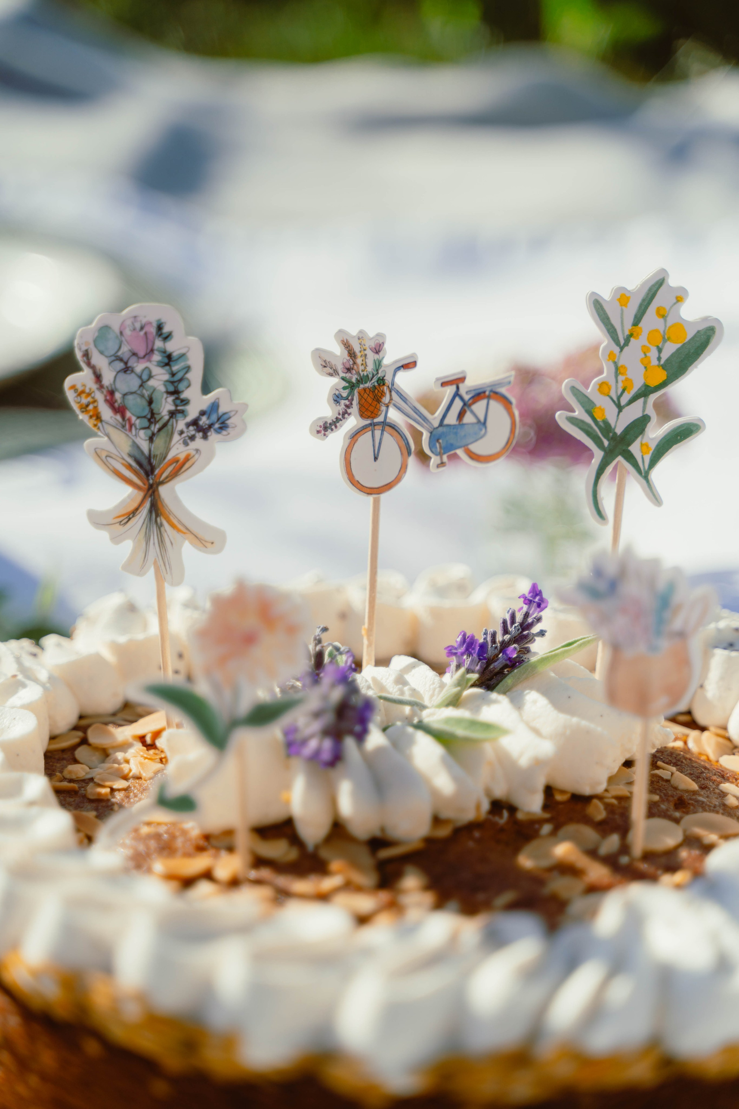 Cam & Léon. Weeding photographer / event / portrait