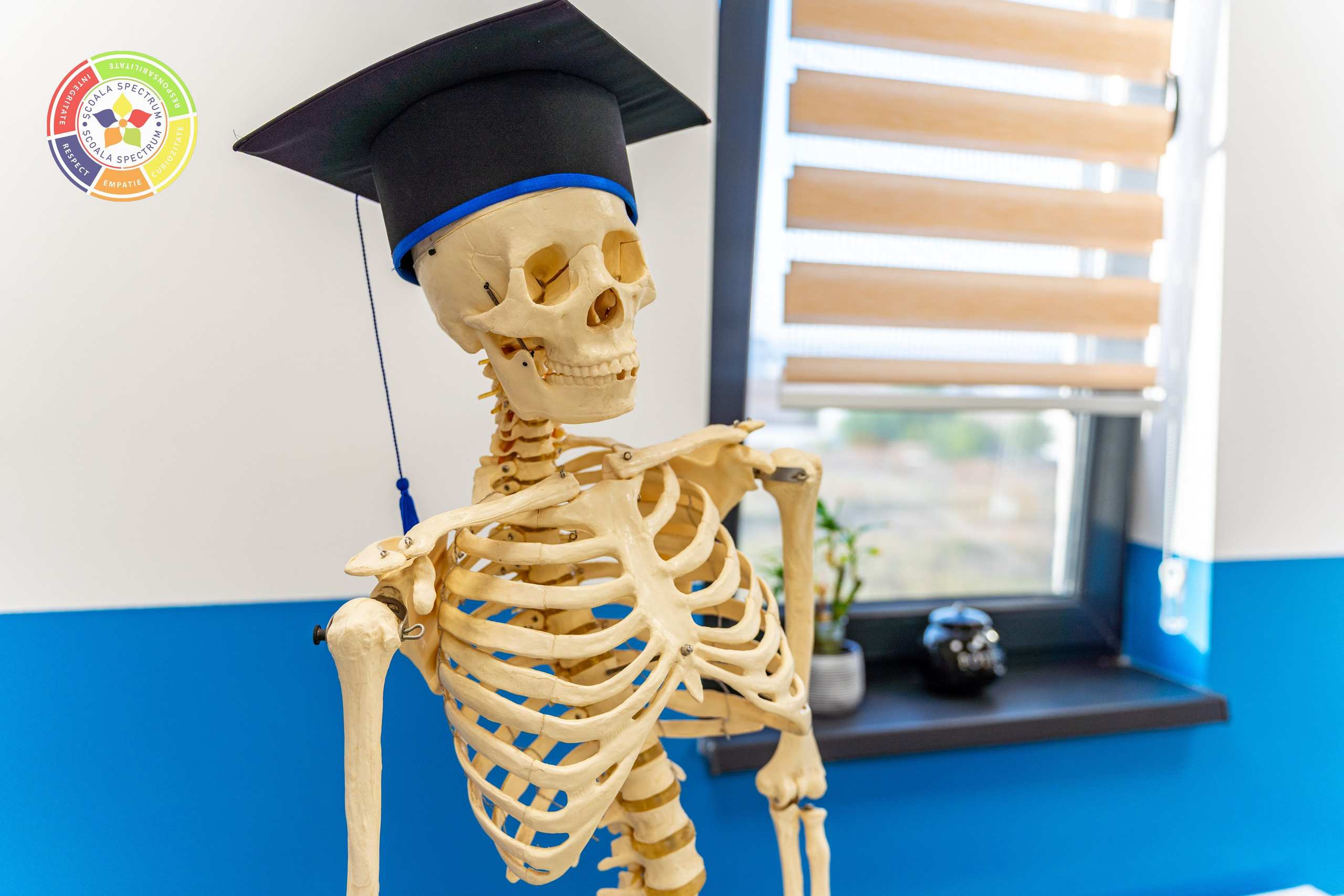 Scoala Gimnaziala Spectrum Constanta. Adelinne