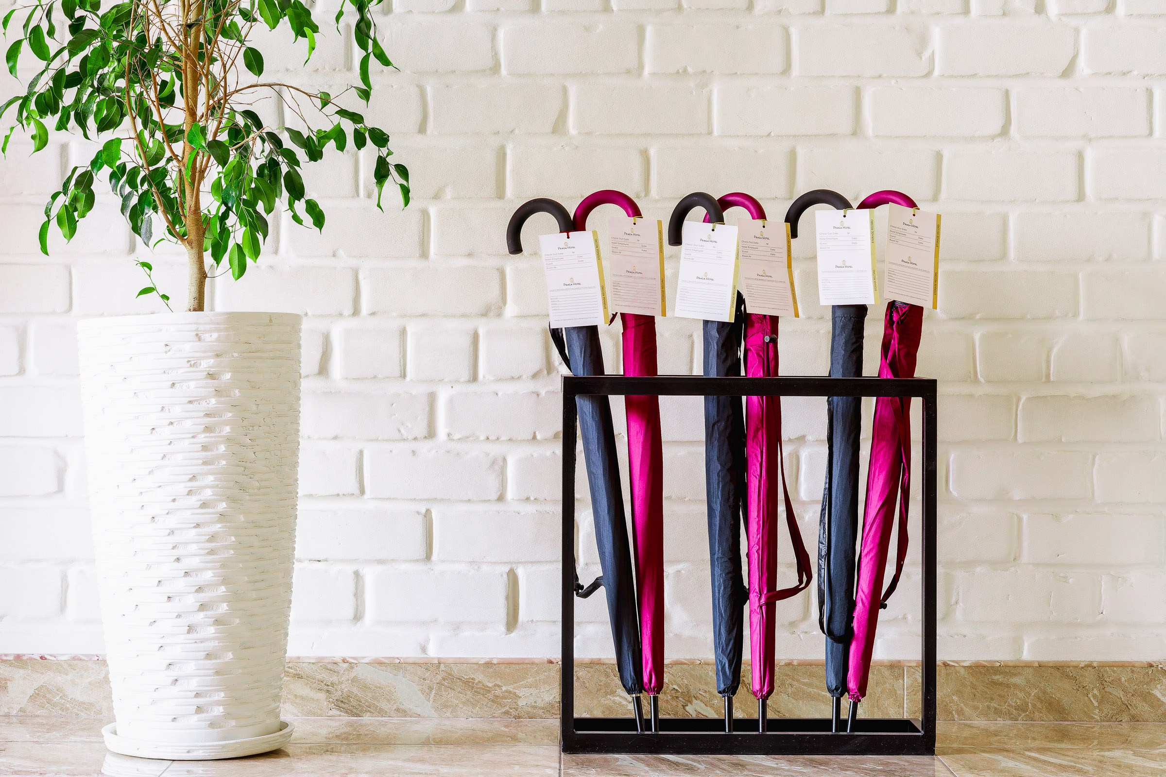 Интерьерный фотограф Ташкент Узбекистан