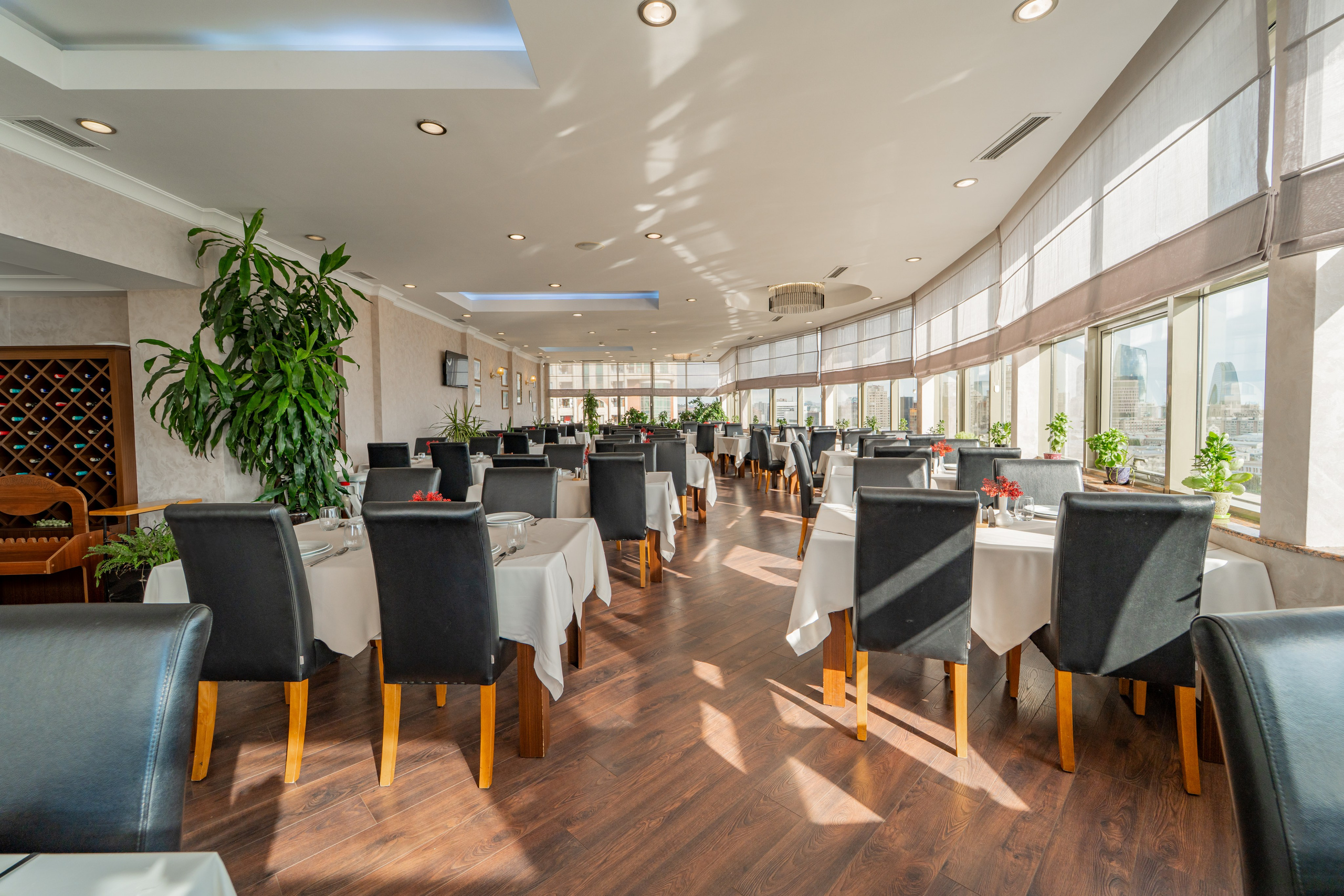 İnterior. Javidan.media