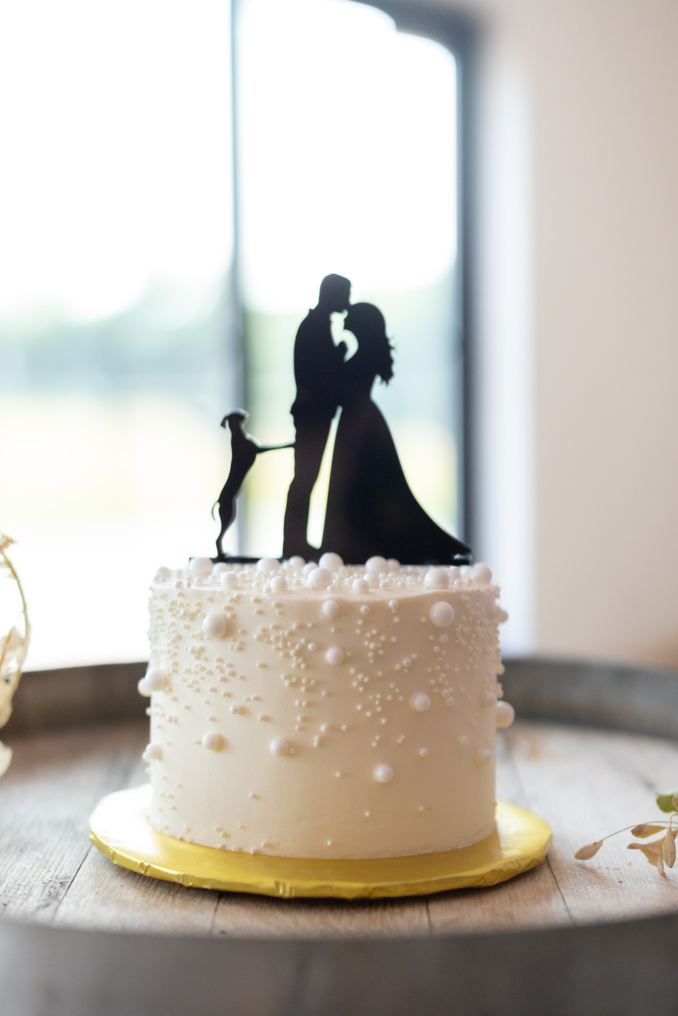 Angelica & Conor. Wedding Photo & Video