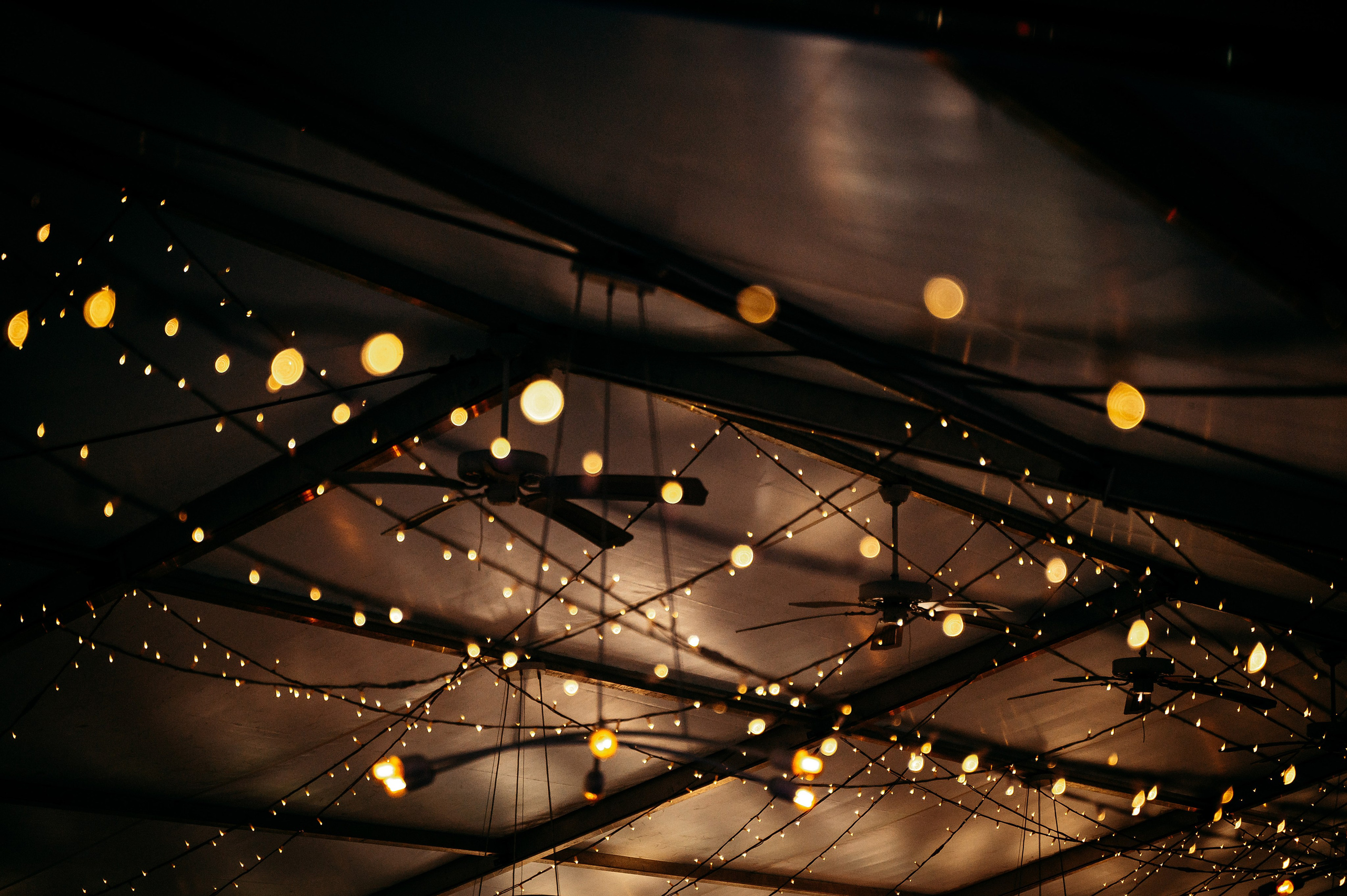 Олександр & Галина. Весільний та портретний фотограф Кизим Арсен