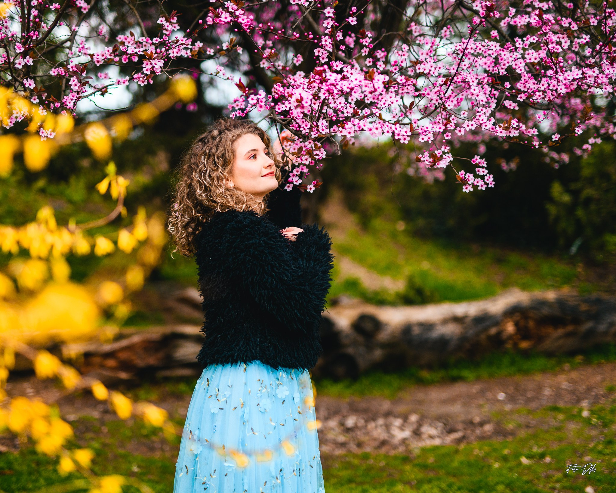 Alesia. Fotografie & Videografie de nuntă în Timișoara