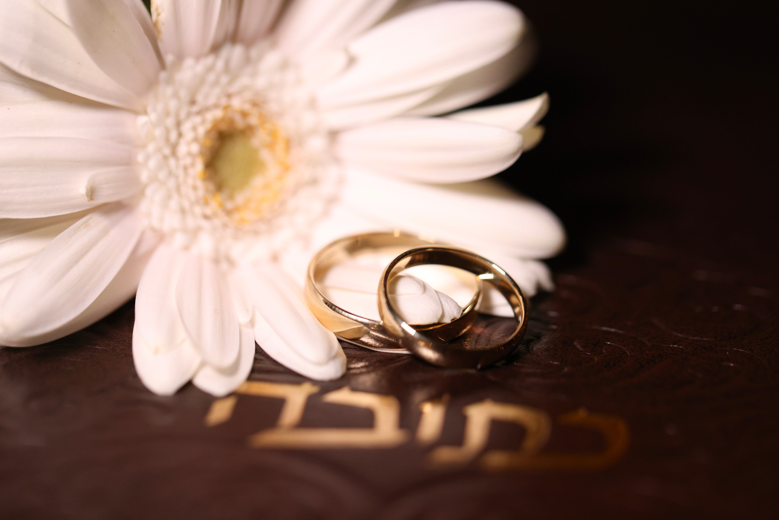 Rings & Dress. Daniel Danilov