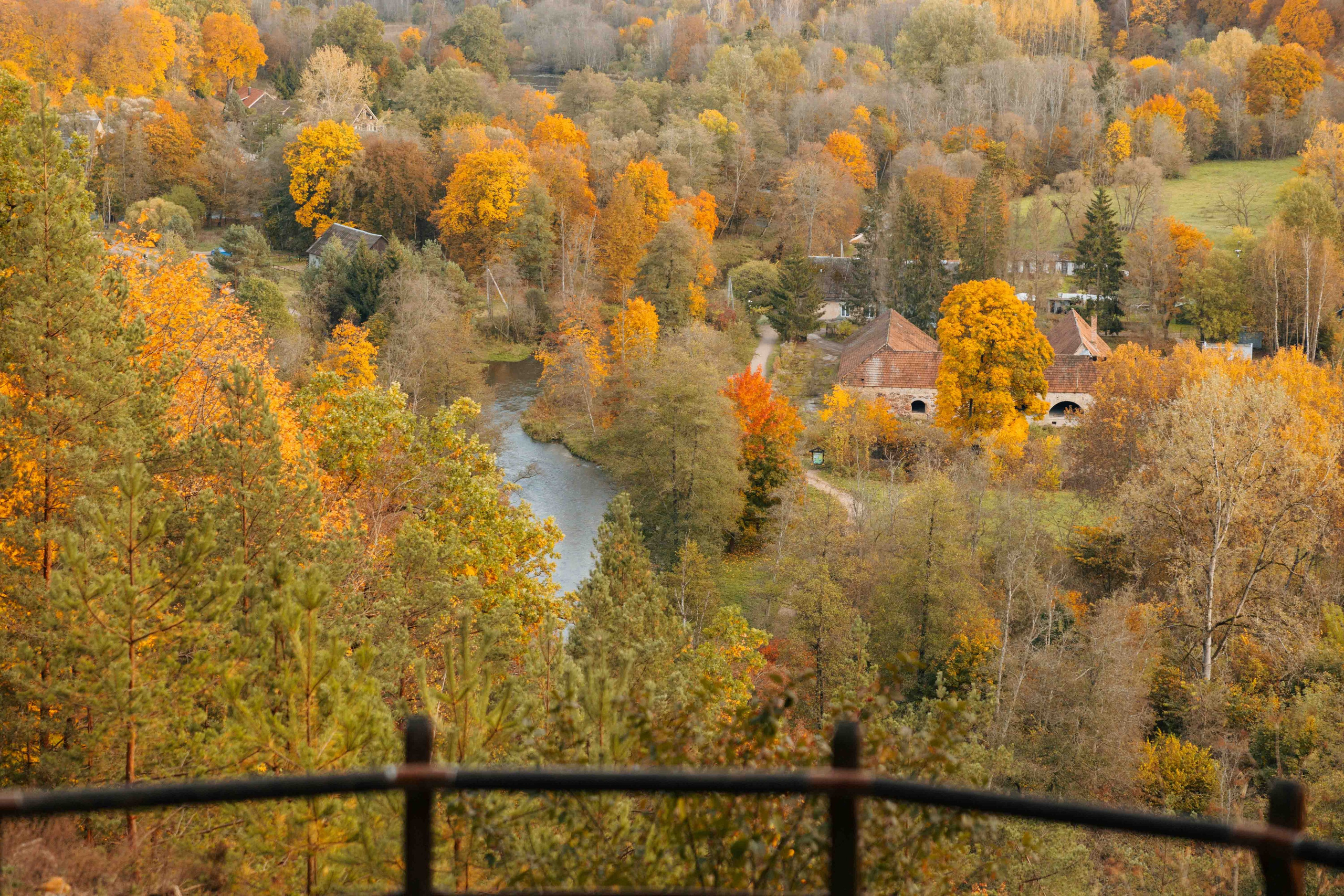 Best Autumn Photoshoot Locations in Vilnius: Top Spots to Capture the Fall Colors. Framed by Evelina | Destination Wedding Photographer from Lithuania | Europe