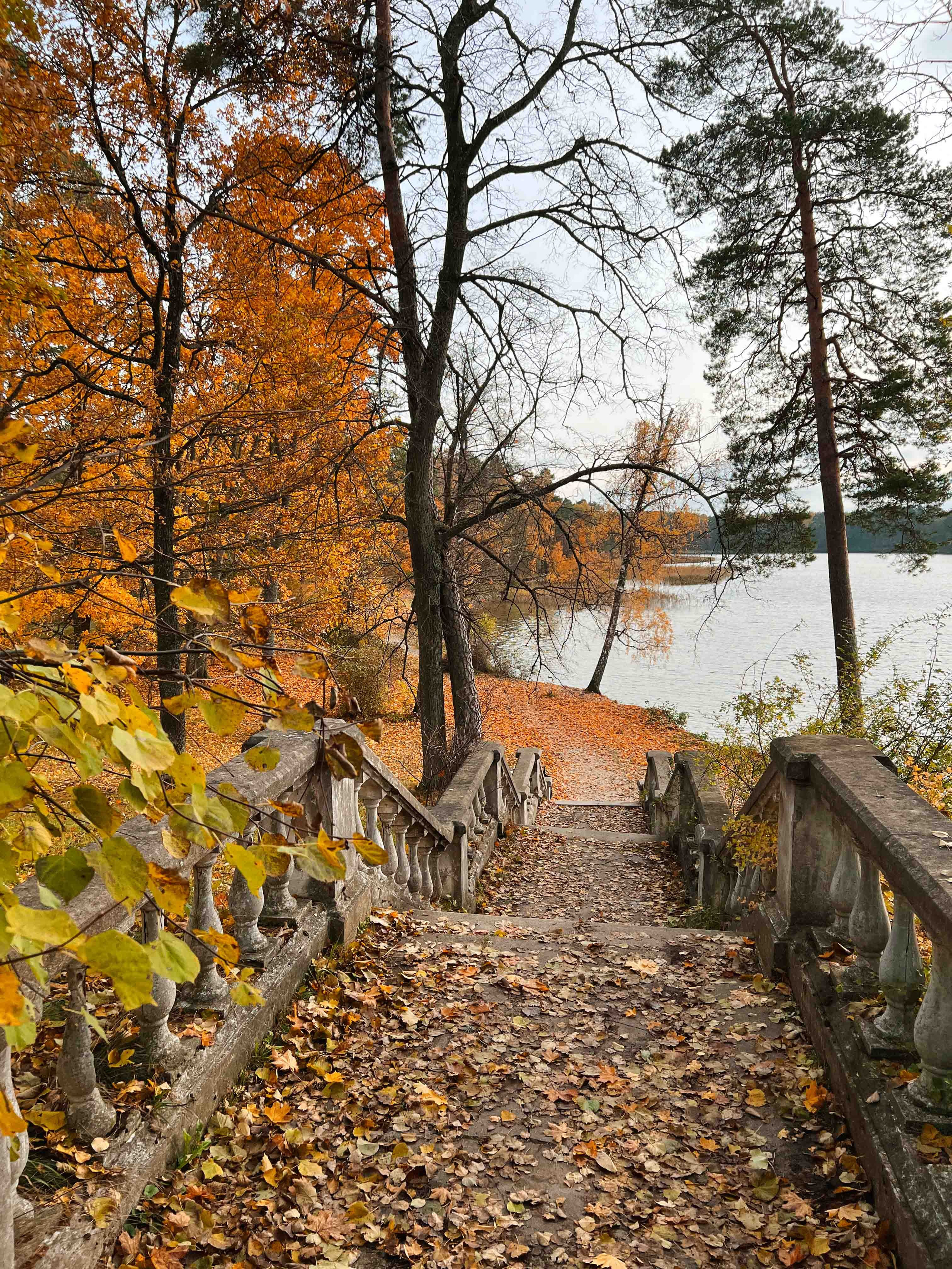 Best Autumn Photoshoot Locations in Vilnius: Top Spots to Capture the Fall Colors. Framed by Evelina | Destination Wedding Photographer from Lithuania | Europe