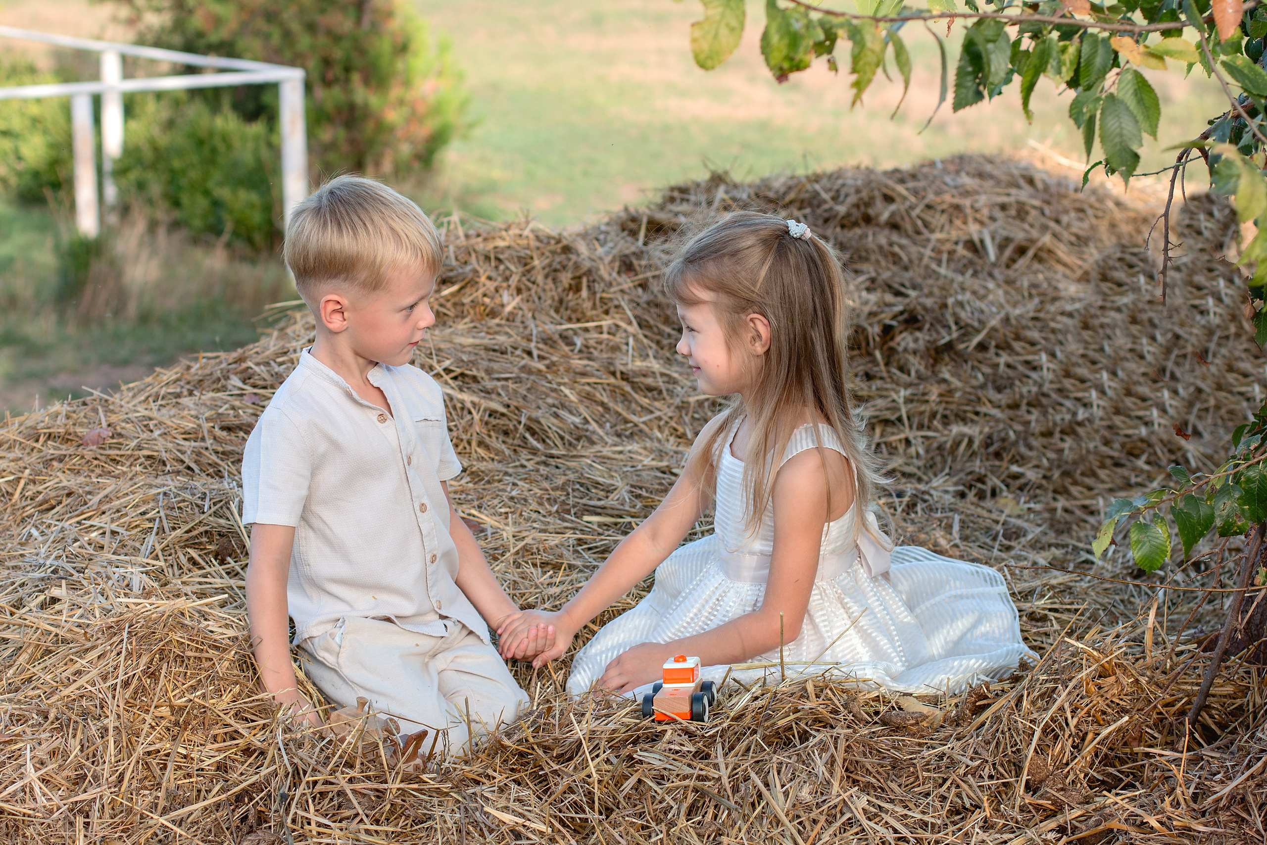 Конюшня. Детский и семейный фотограф в г. Бельцы