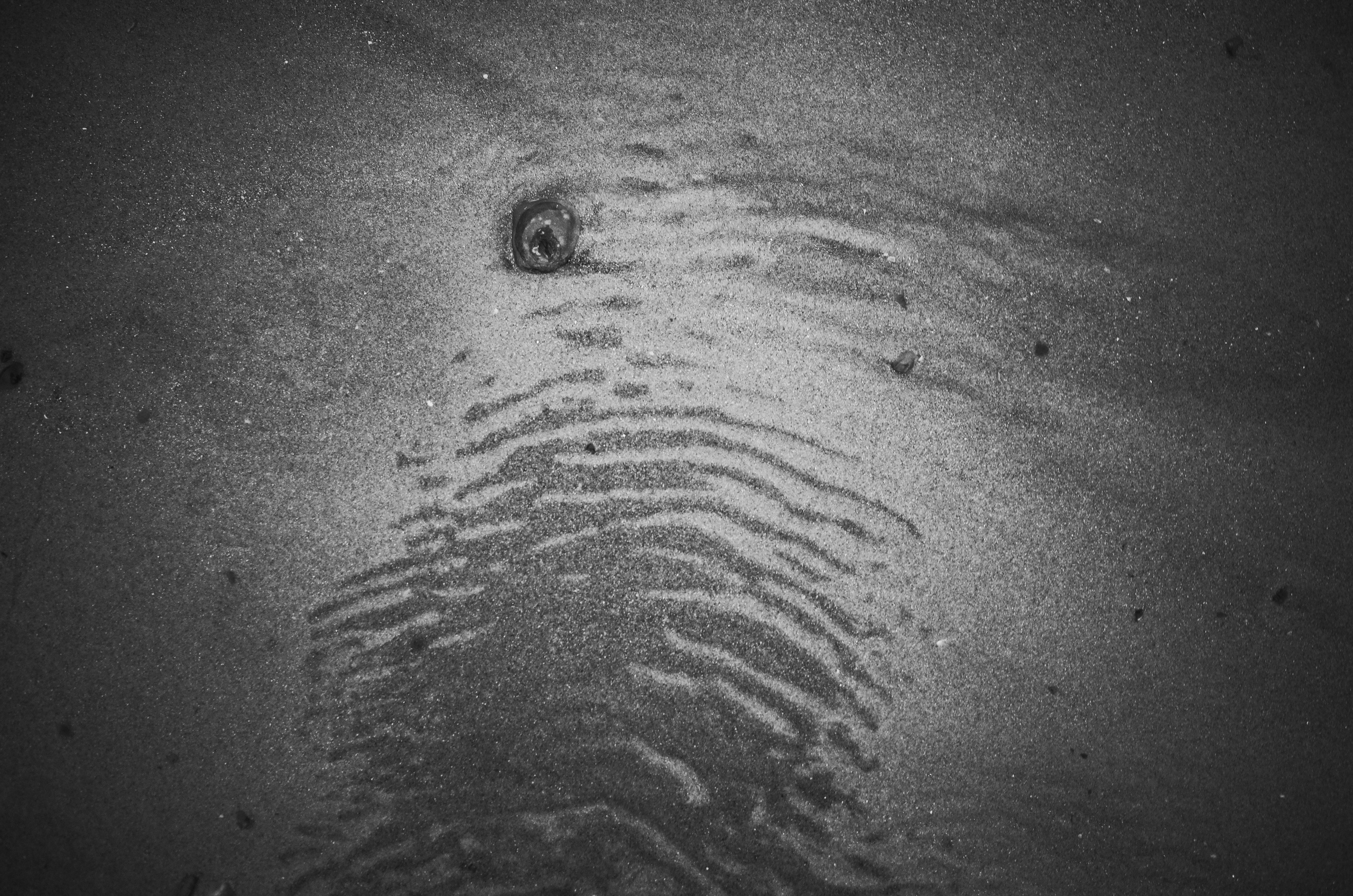 Dance at the new moon. Victoria Dini. Art photography in London / Folkestone, UK