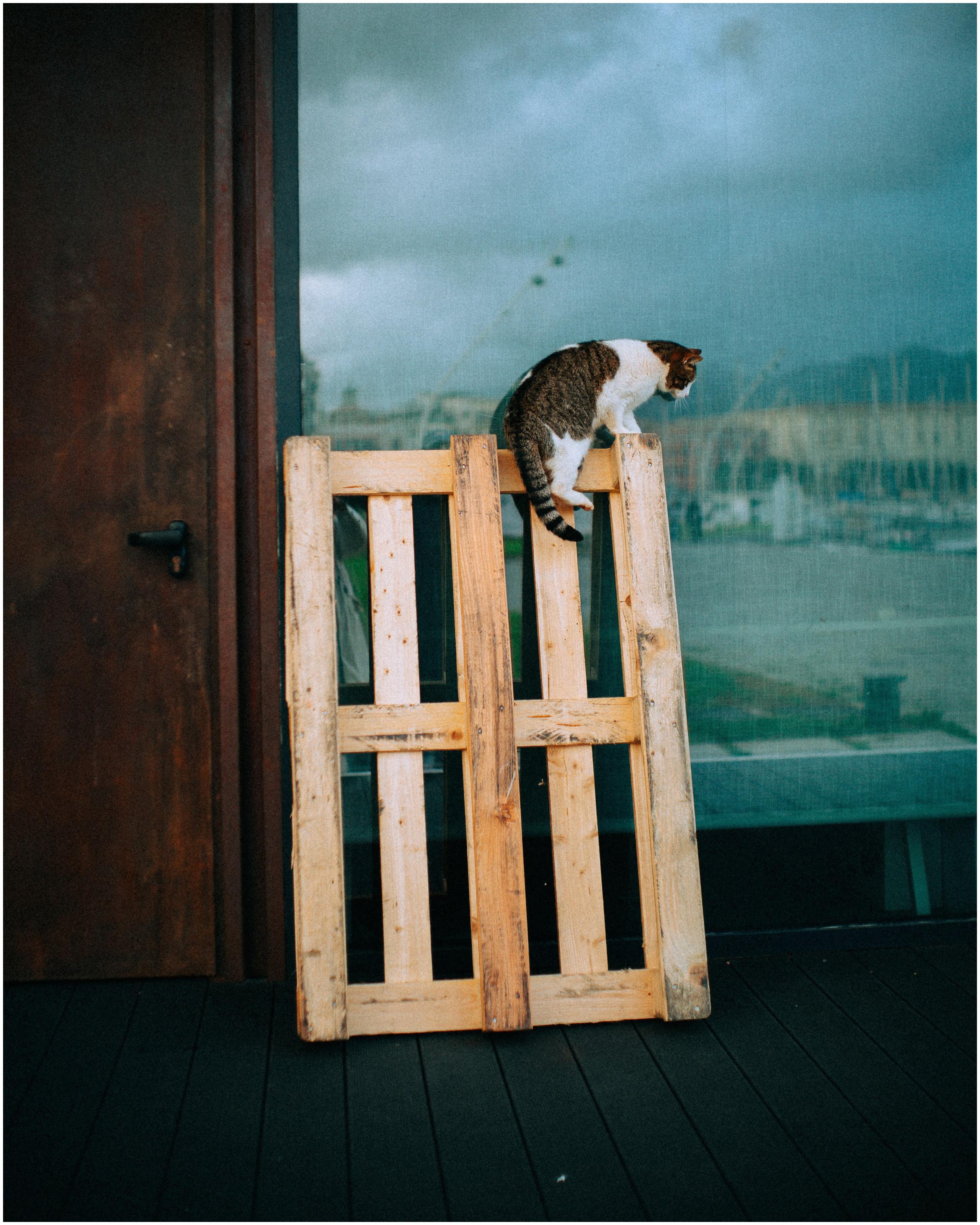 PALERMO. Photographer Inna Mendelson