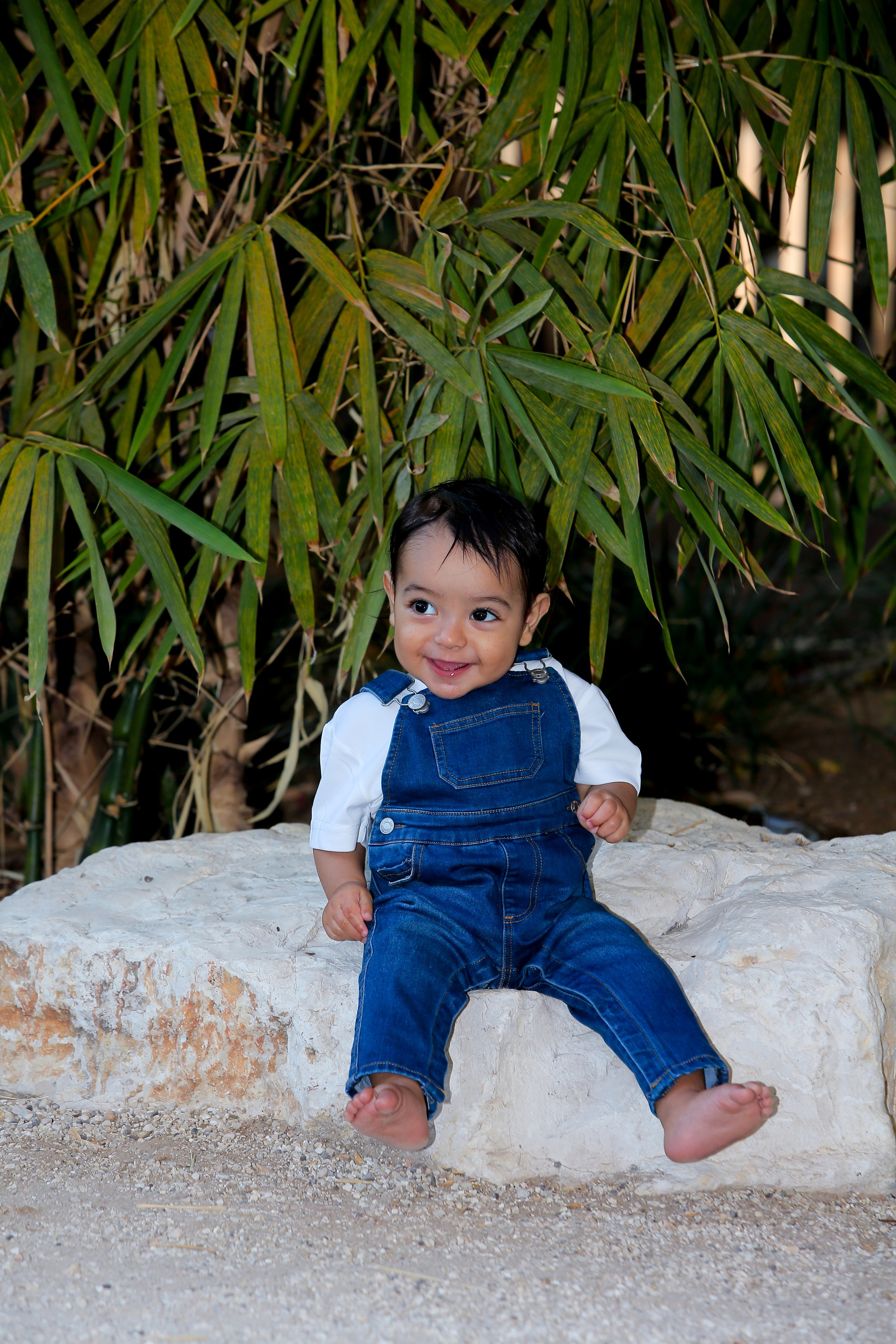 Alroy. Wedding and events photographers Studio Shalom