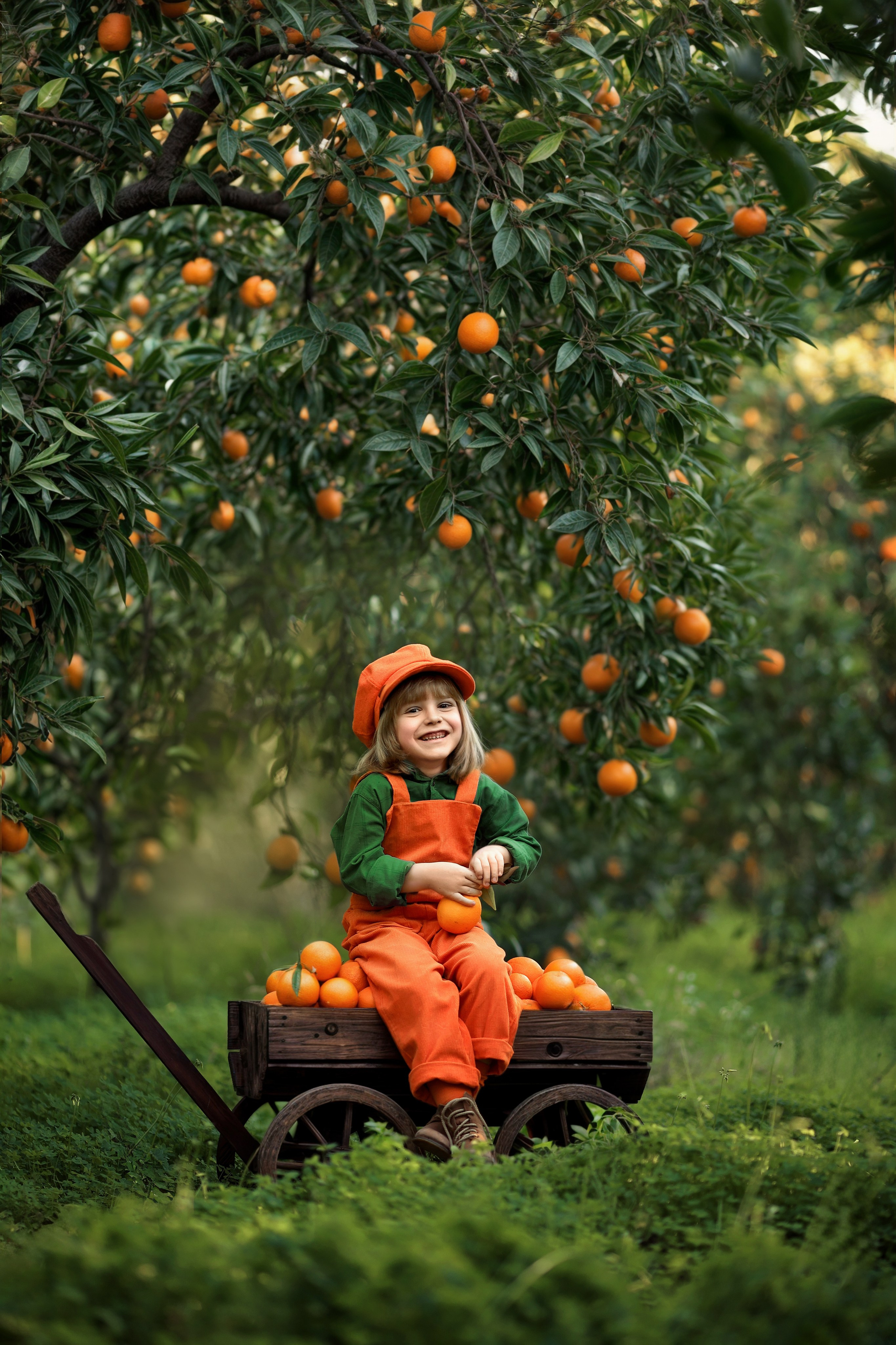 Photoshooting in orange garden. Photographer in Turkey, Antalya, Kemer, Belek, Side, Kas, Fethiye